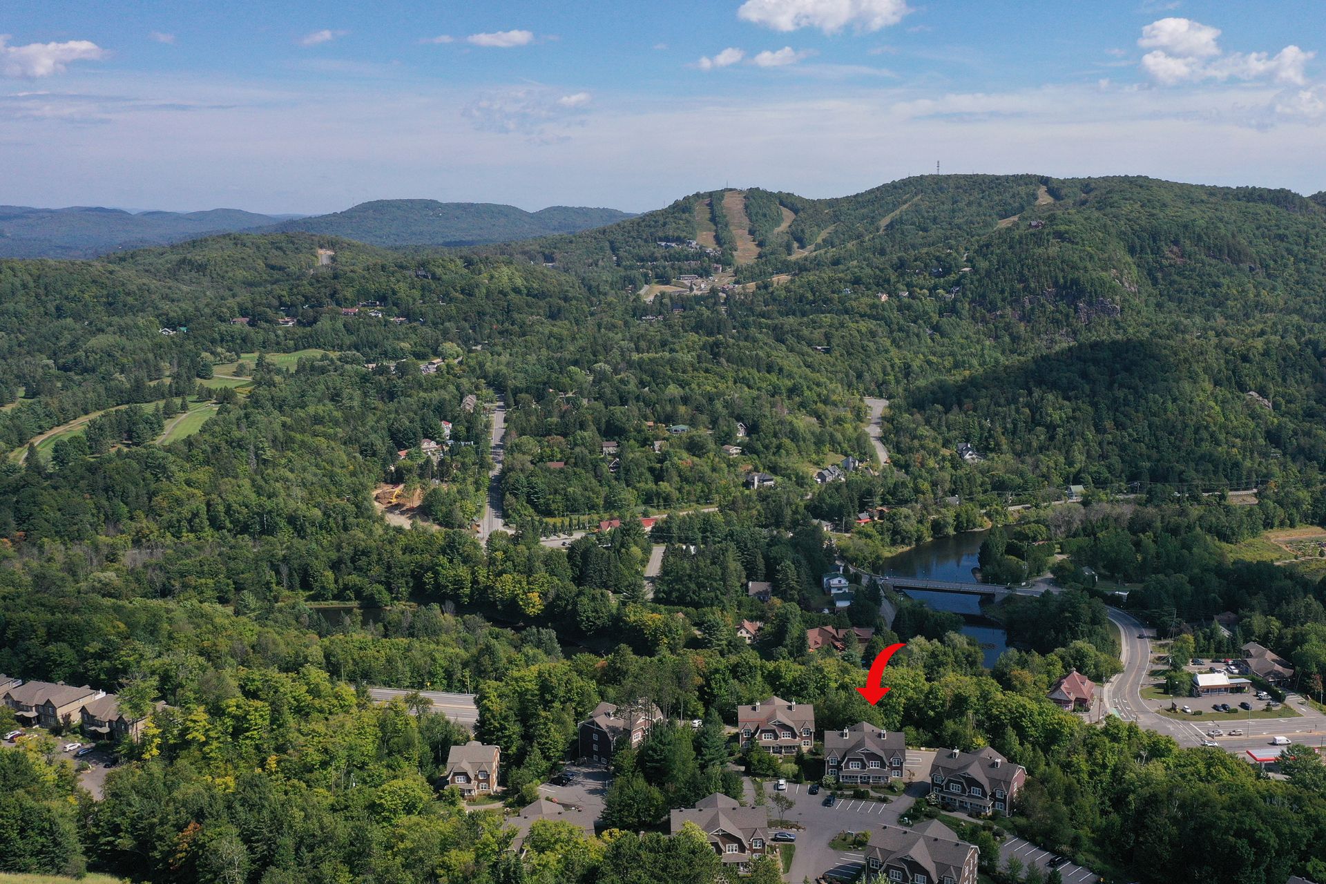 Photo - Aerial photo