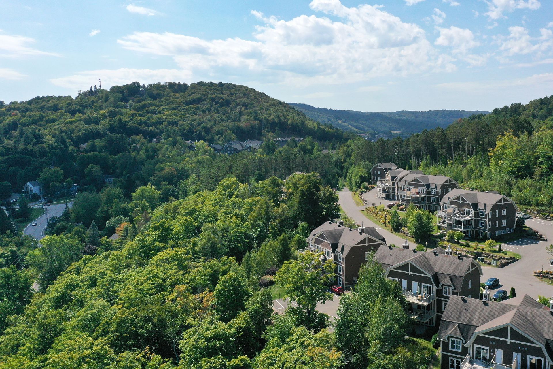 Photo - Aerial photo