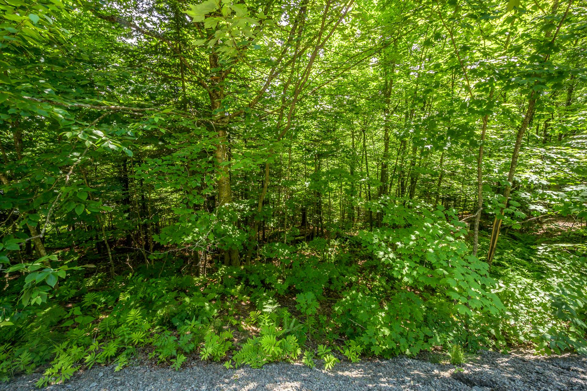Photo - Terre/Terrain