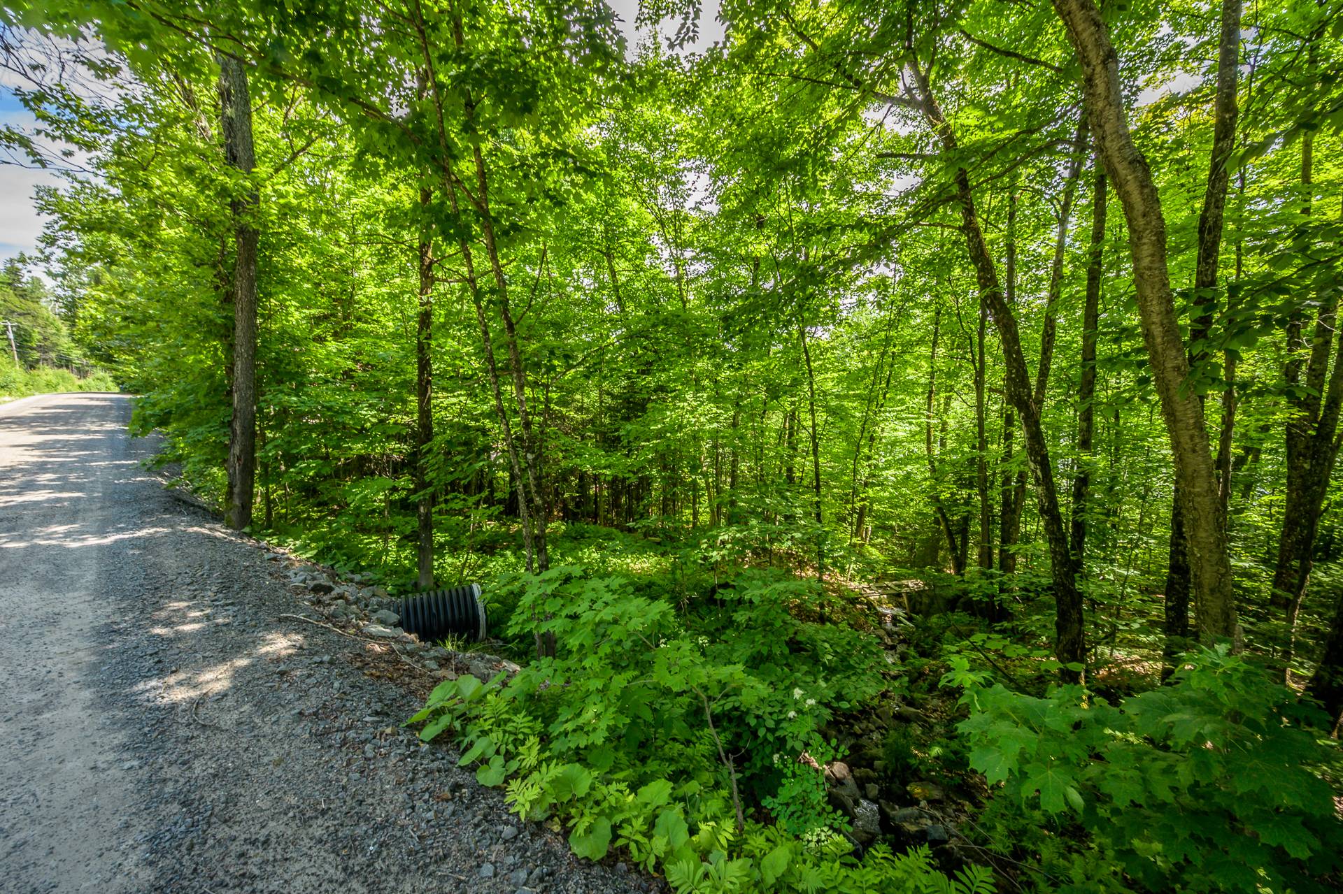 Photo - Terre/Terrain