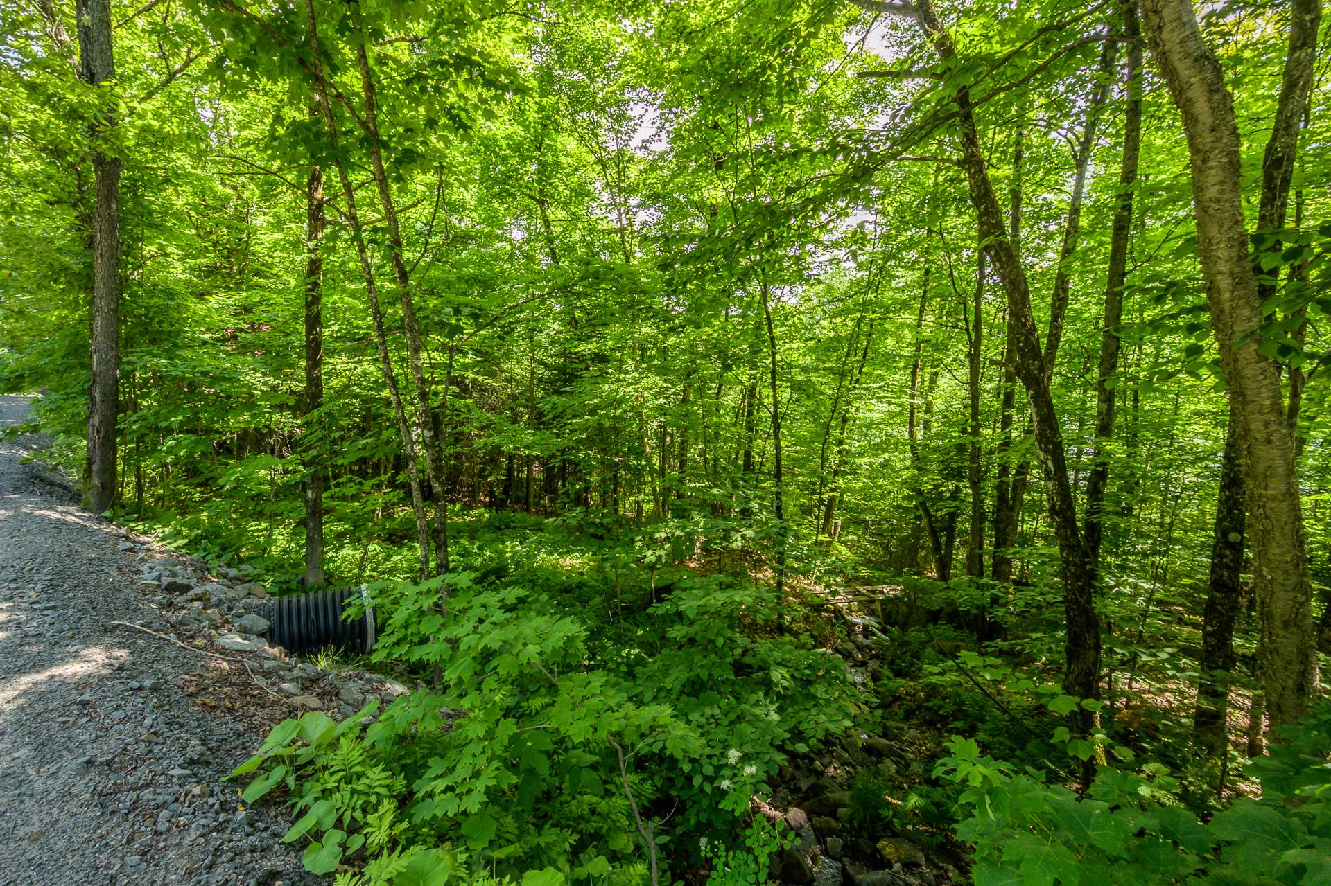 Photo - Terre/Terrain