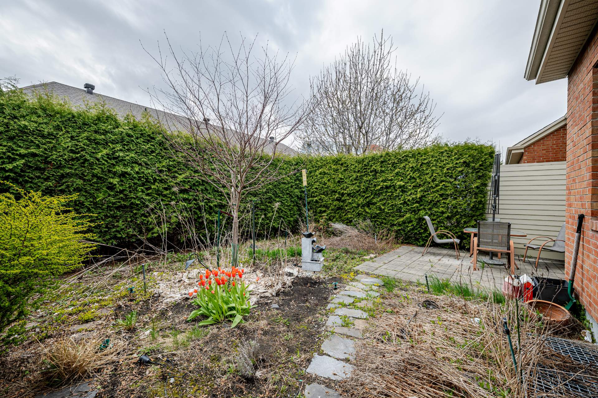 Photo - Backyard