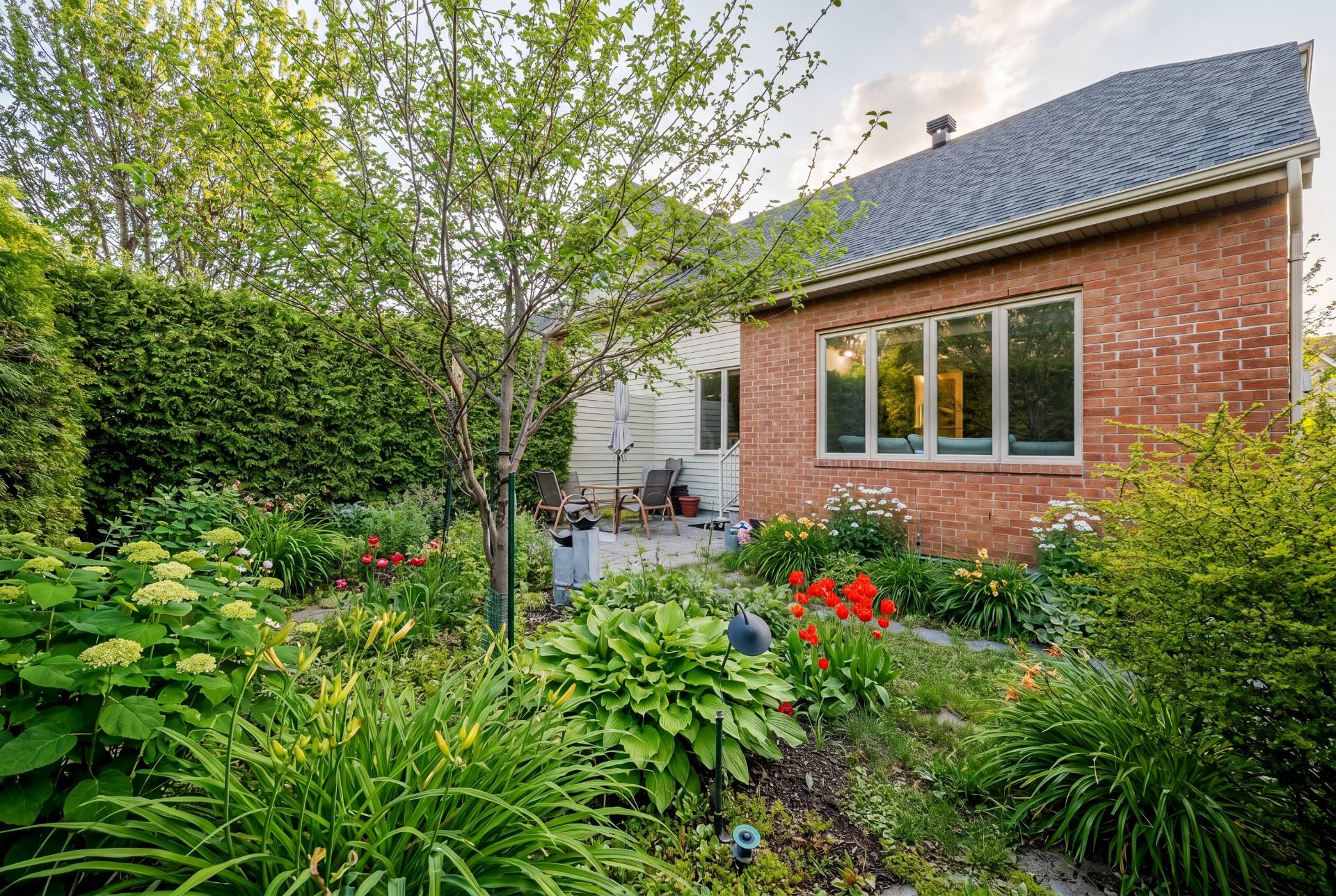 Photo - Backyard