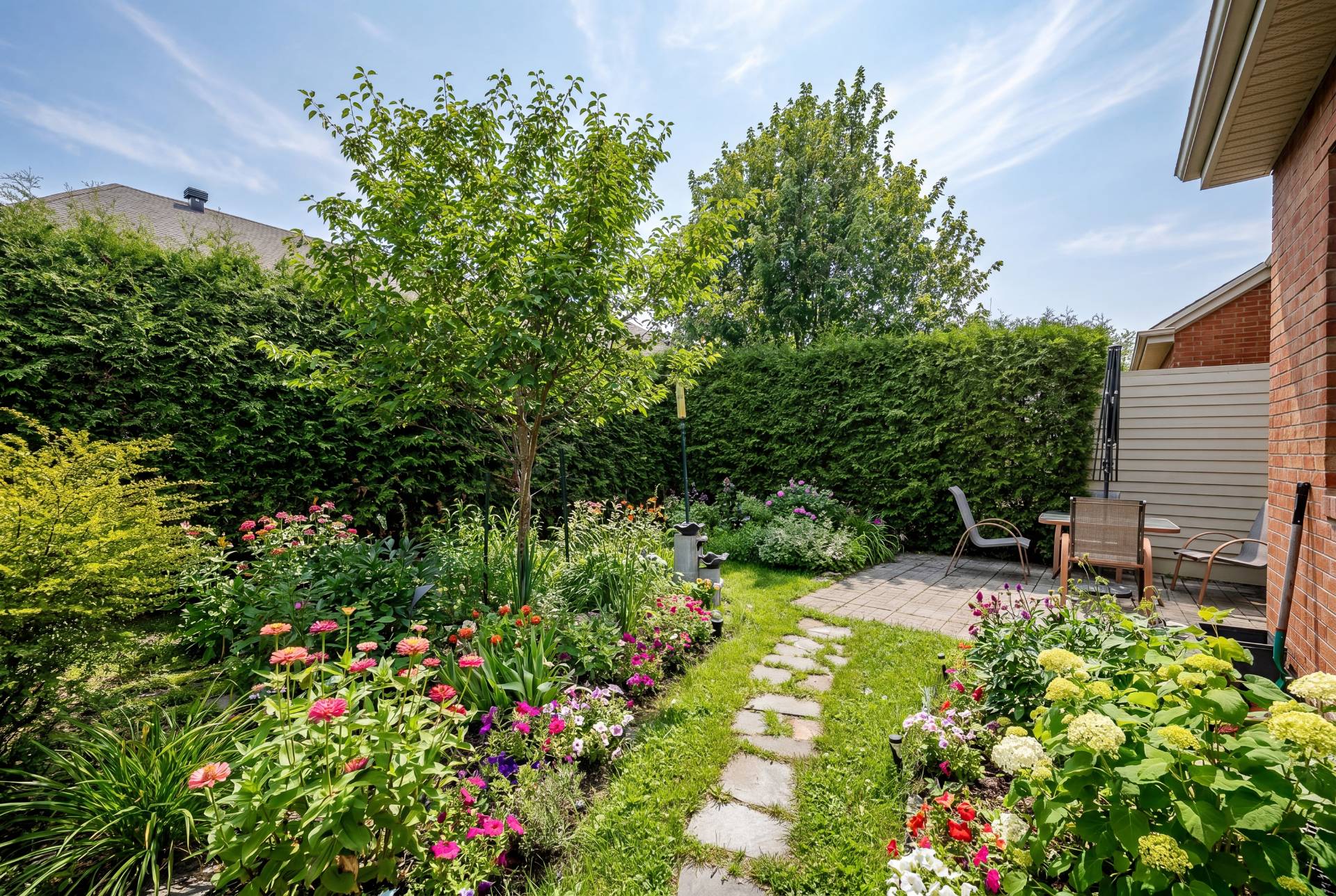 Photo - Backyard