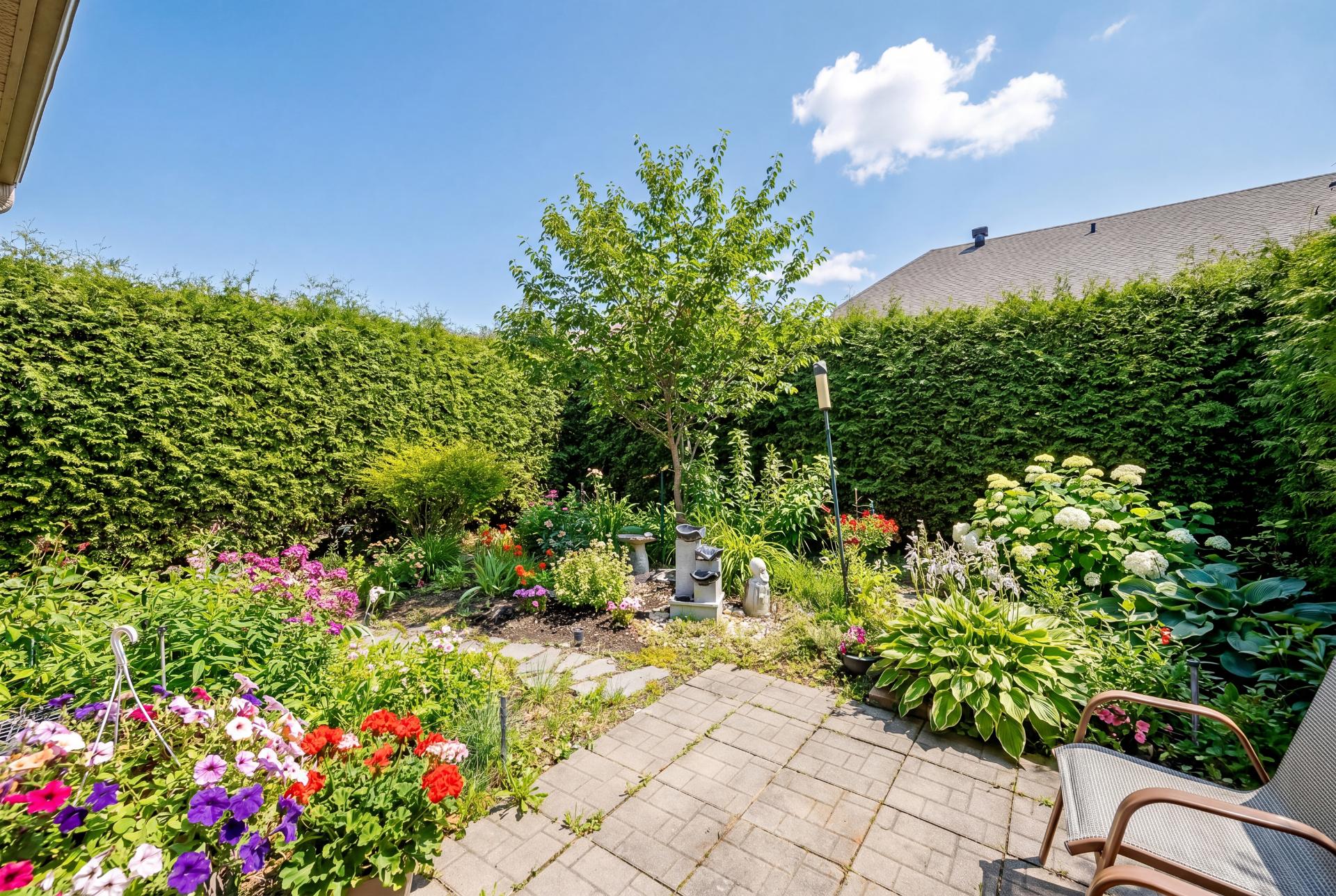 Photo - Backyard
