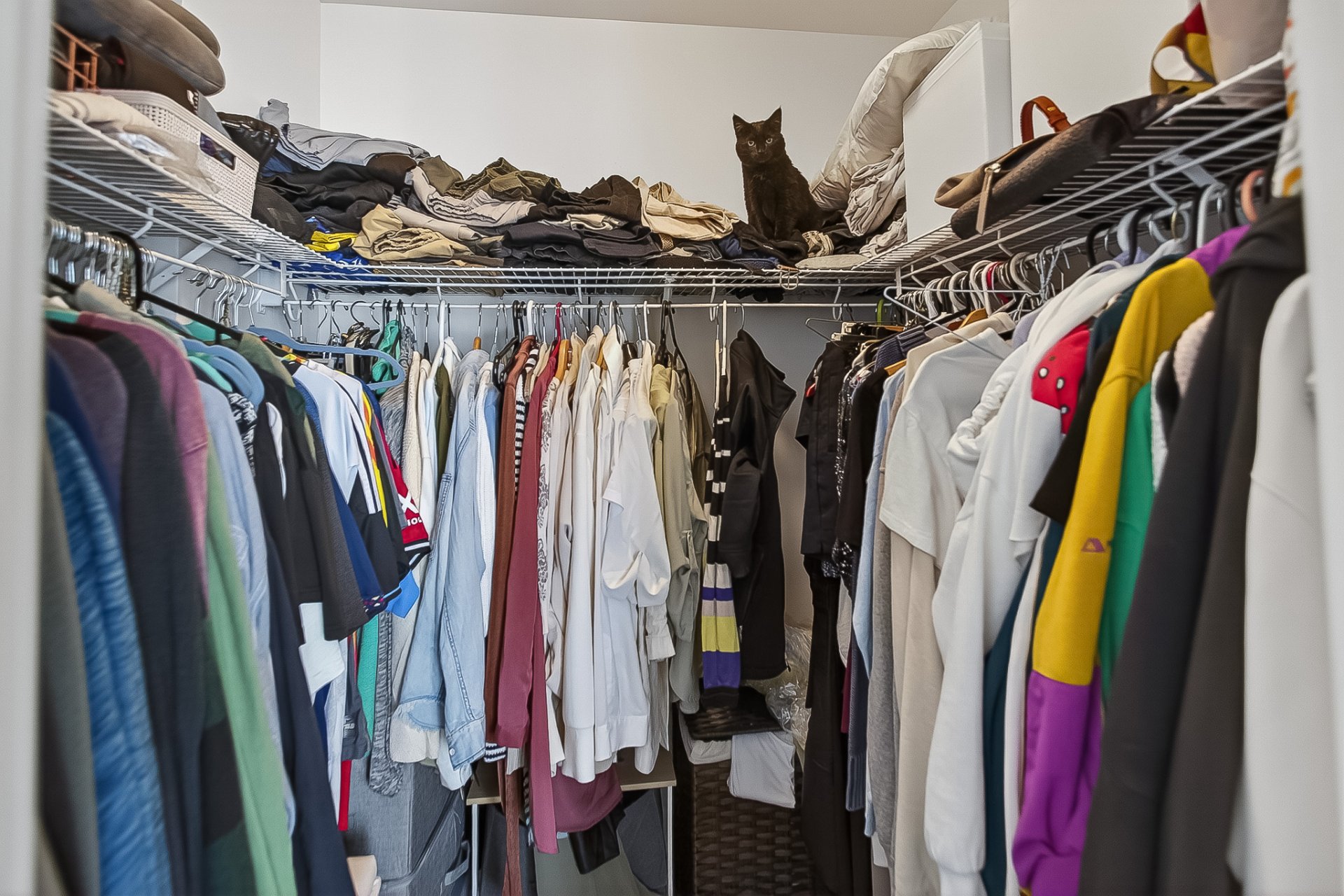 Photo - Walk-in closet