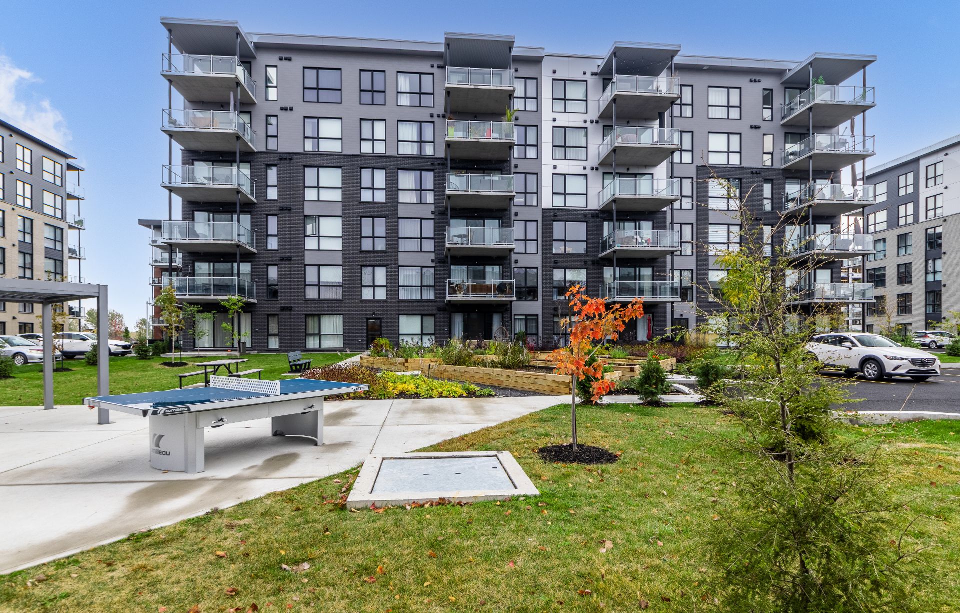 Photo - Face arrière