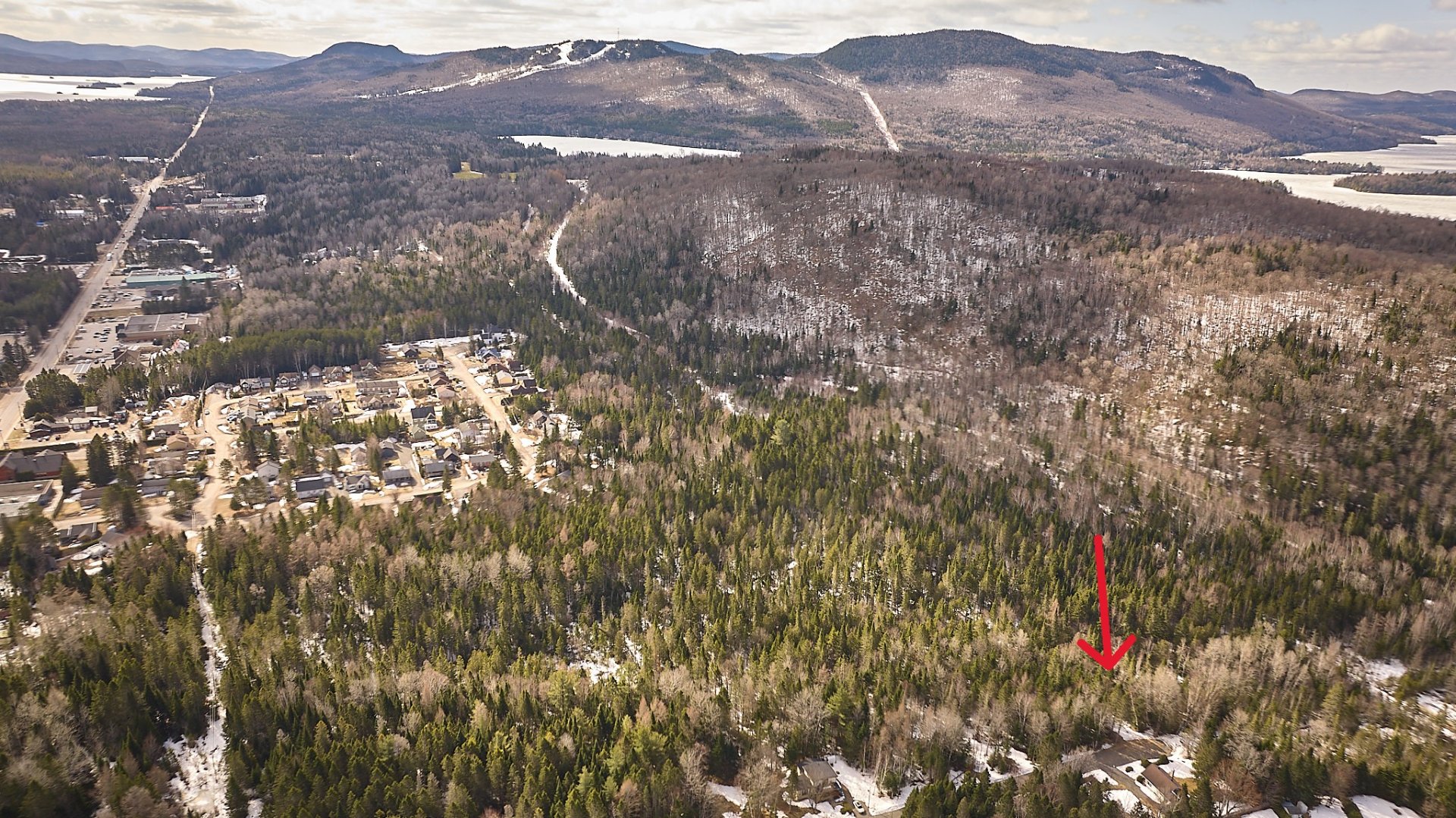 Photo - Aerial photo