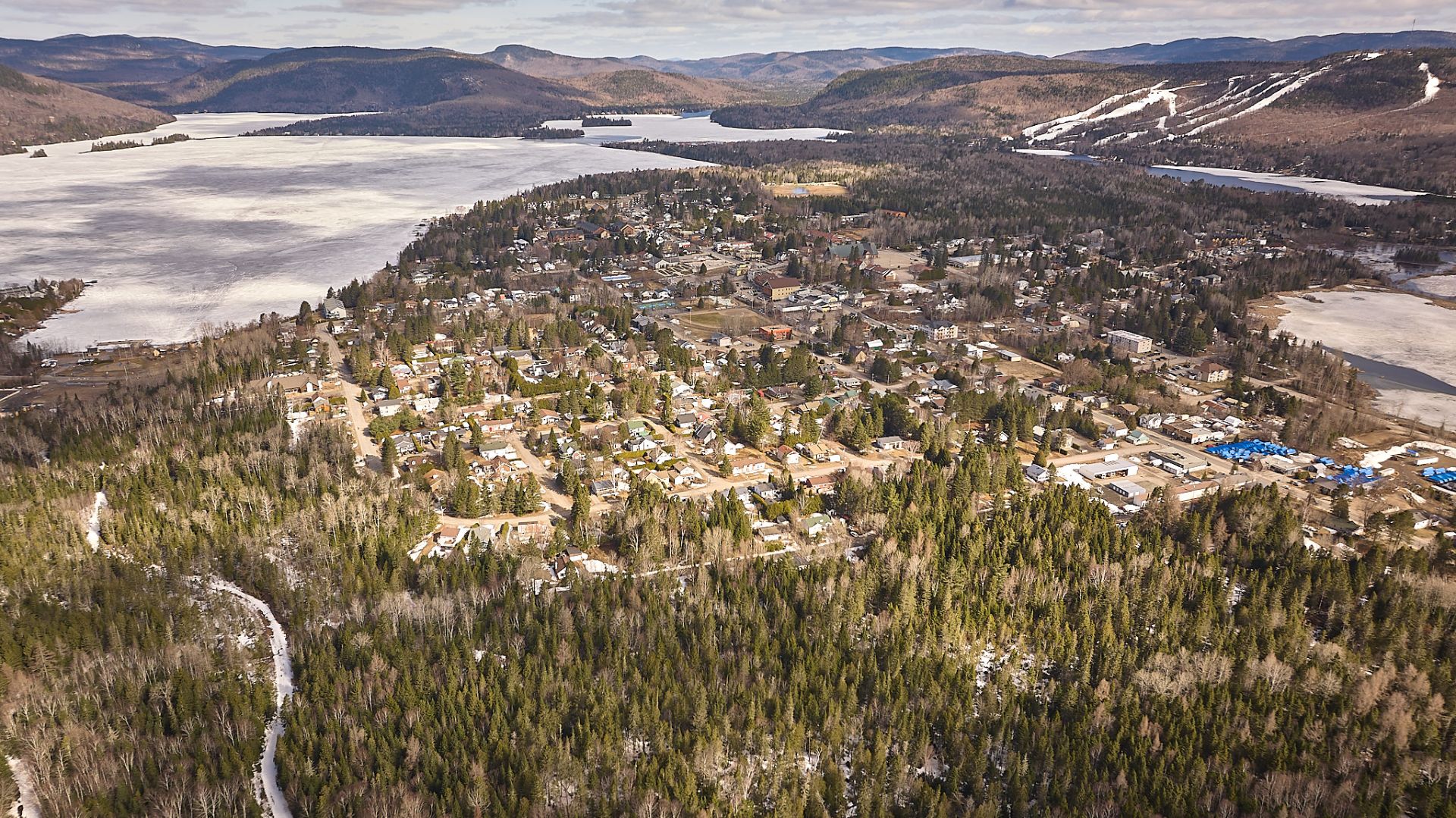 Photo - Aerial photo