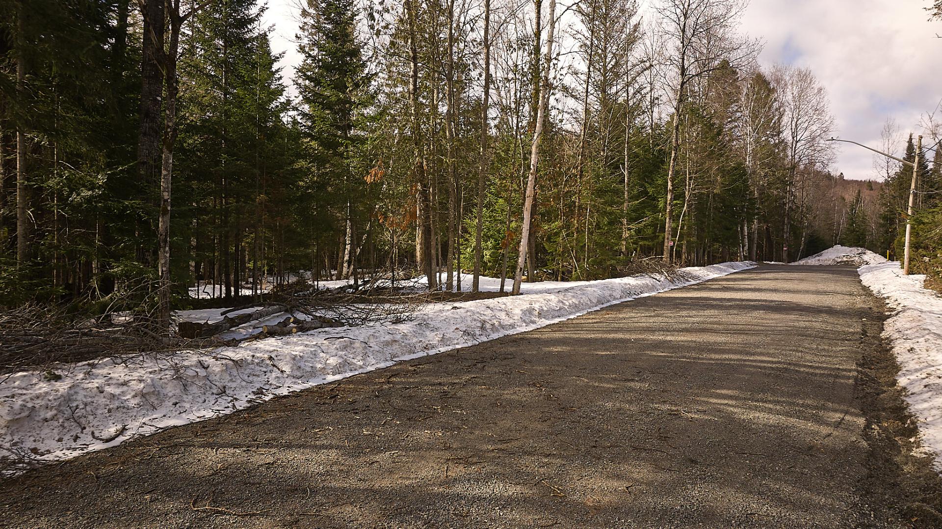 Photo - Land/Lot