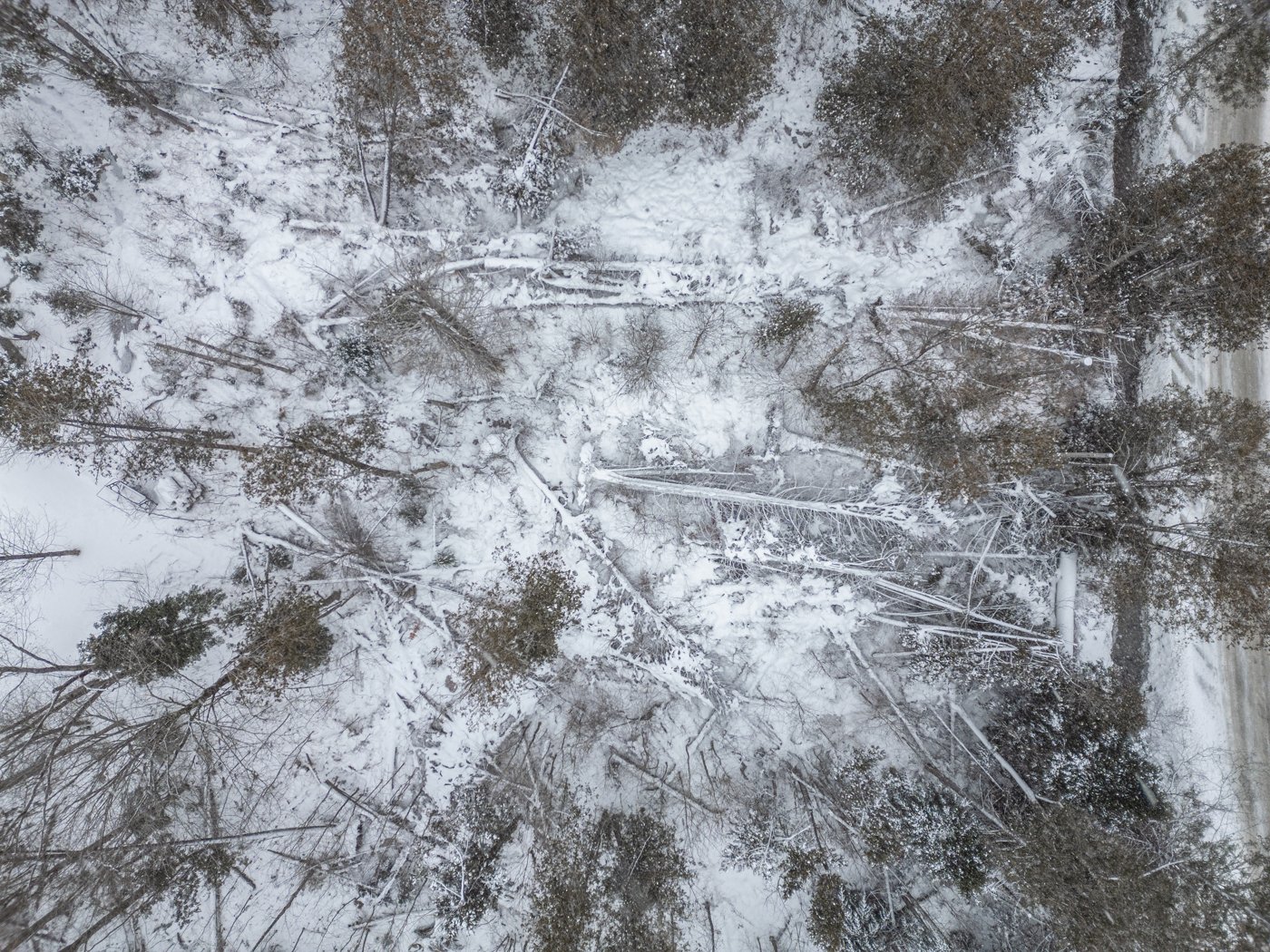 Photo - Photo aérienne