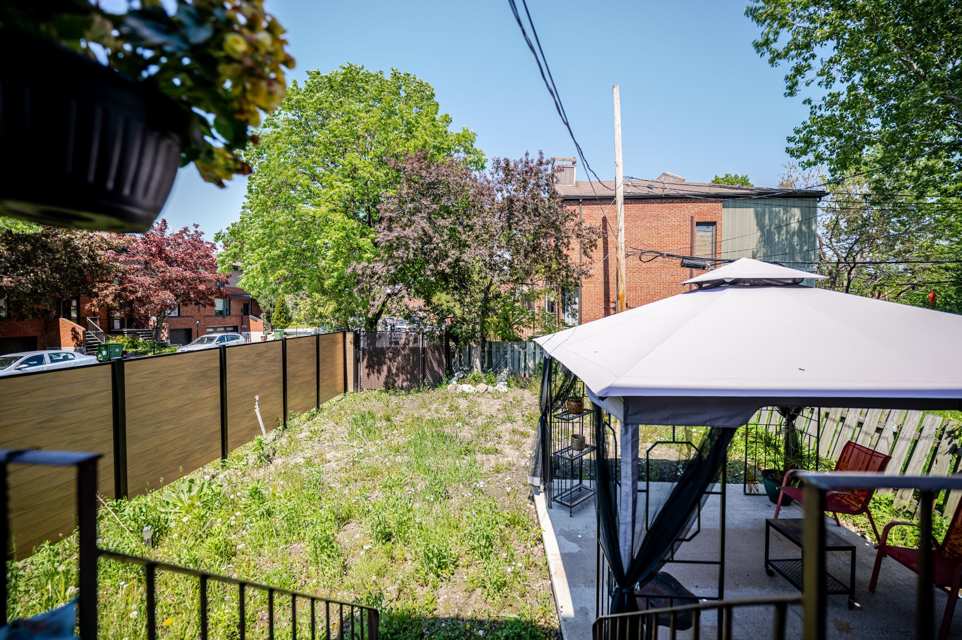 Photo - Backyard