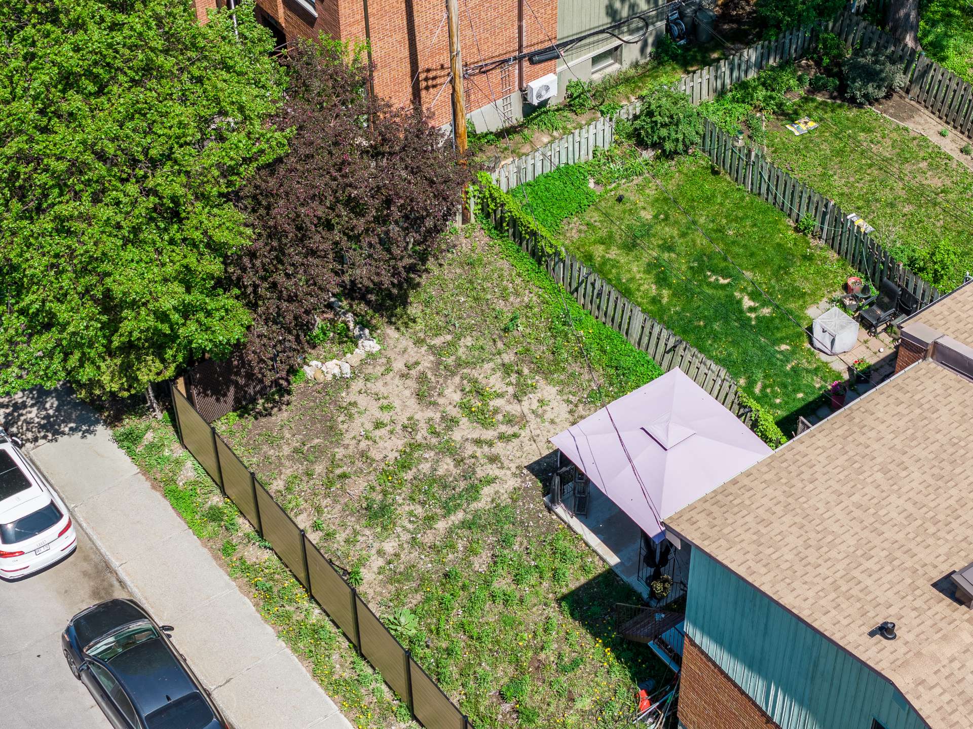 Photo - Backyard