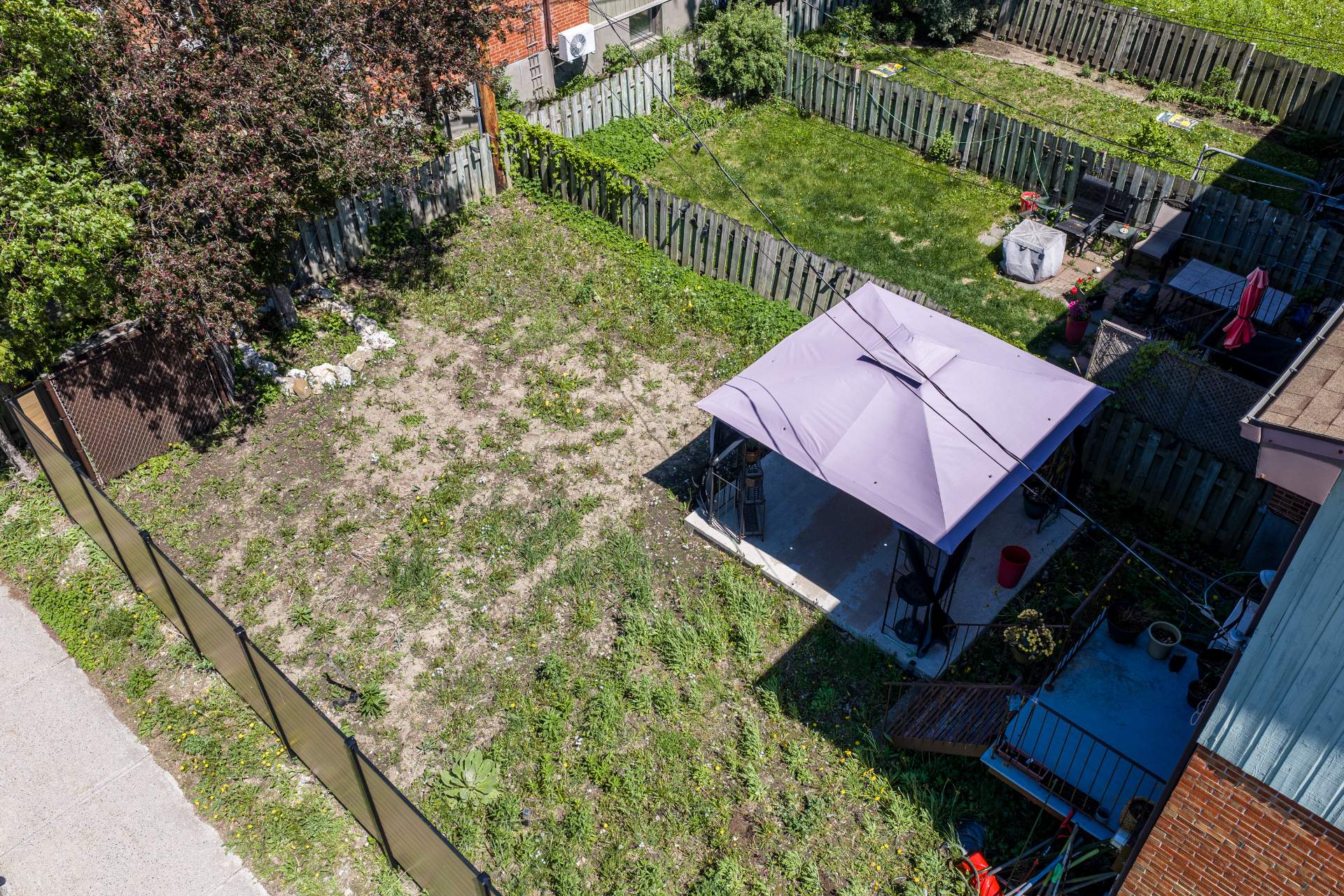 Photo - Backyard
