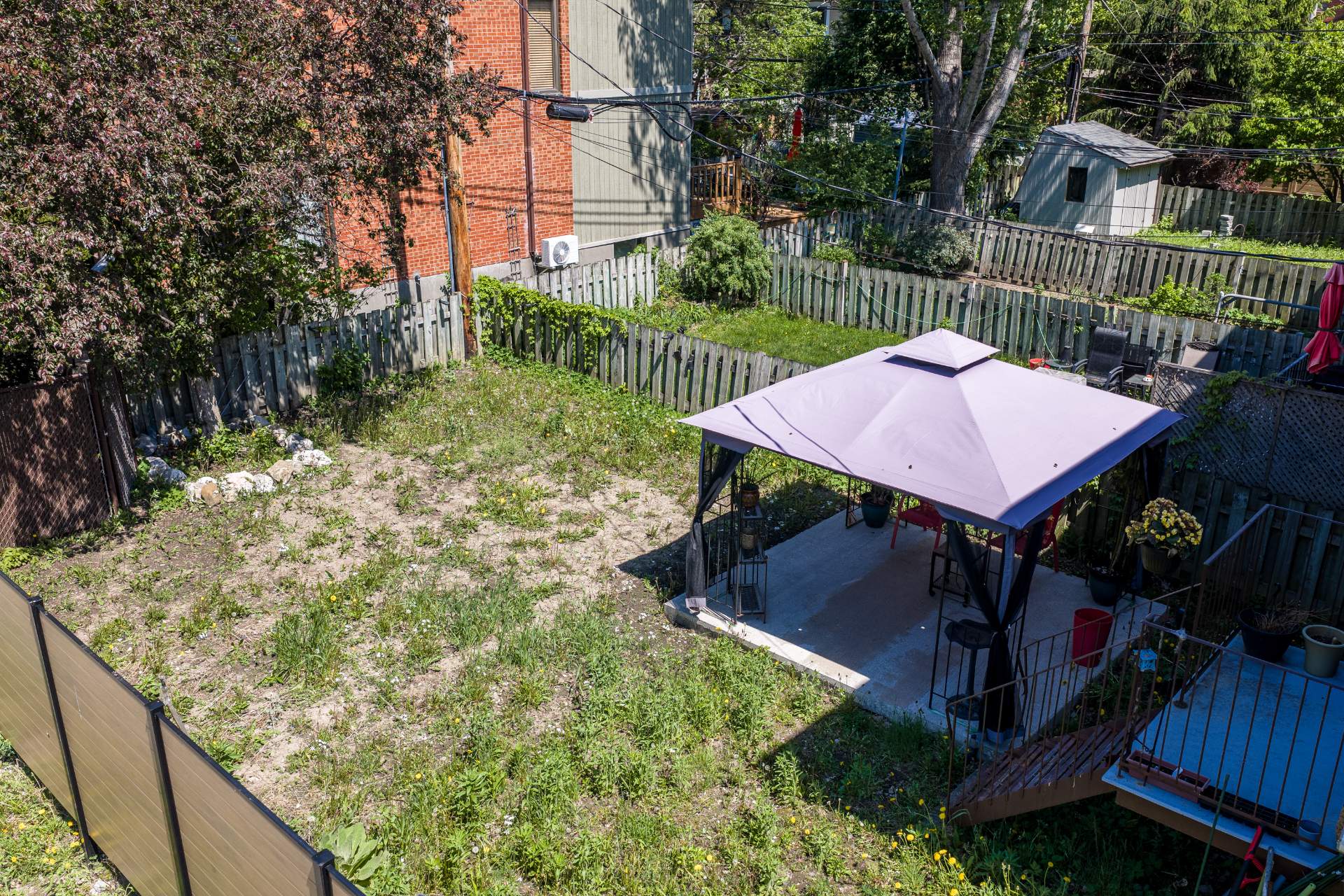 Photo - Backyard