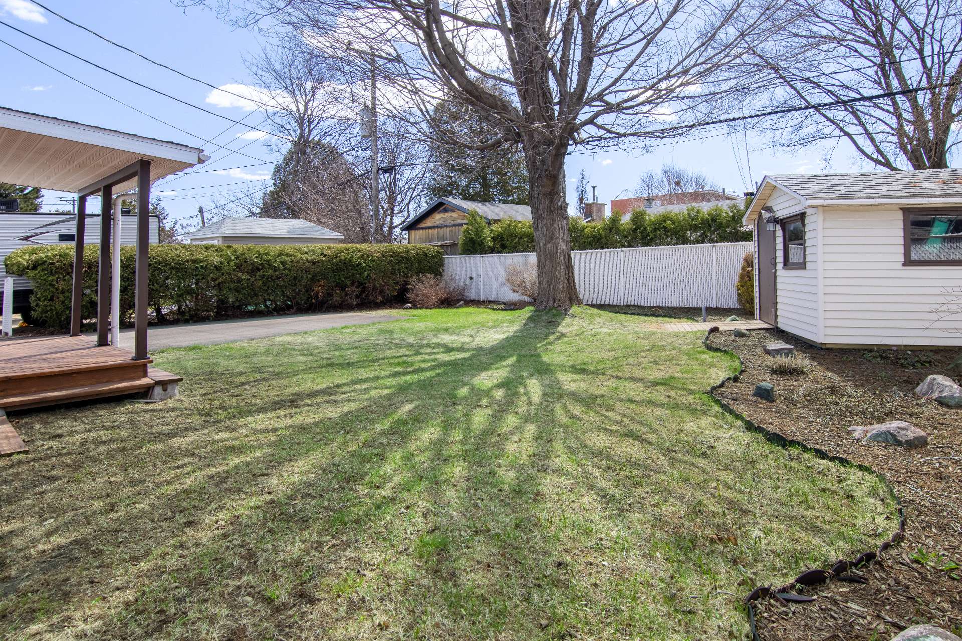 Photo - Backyard