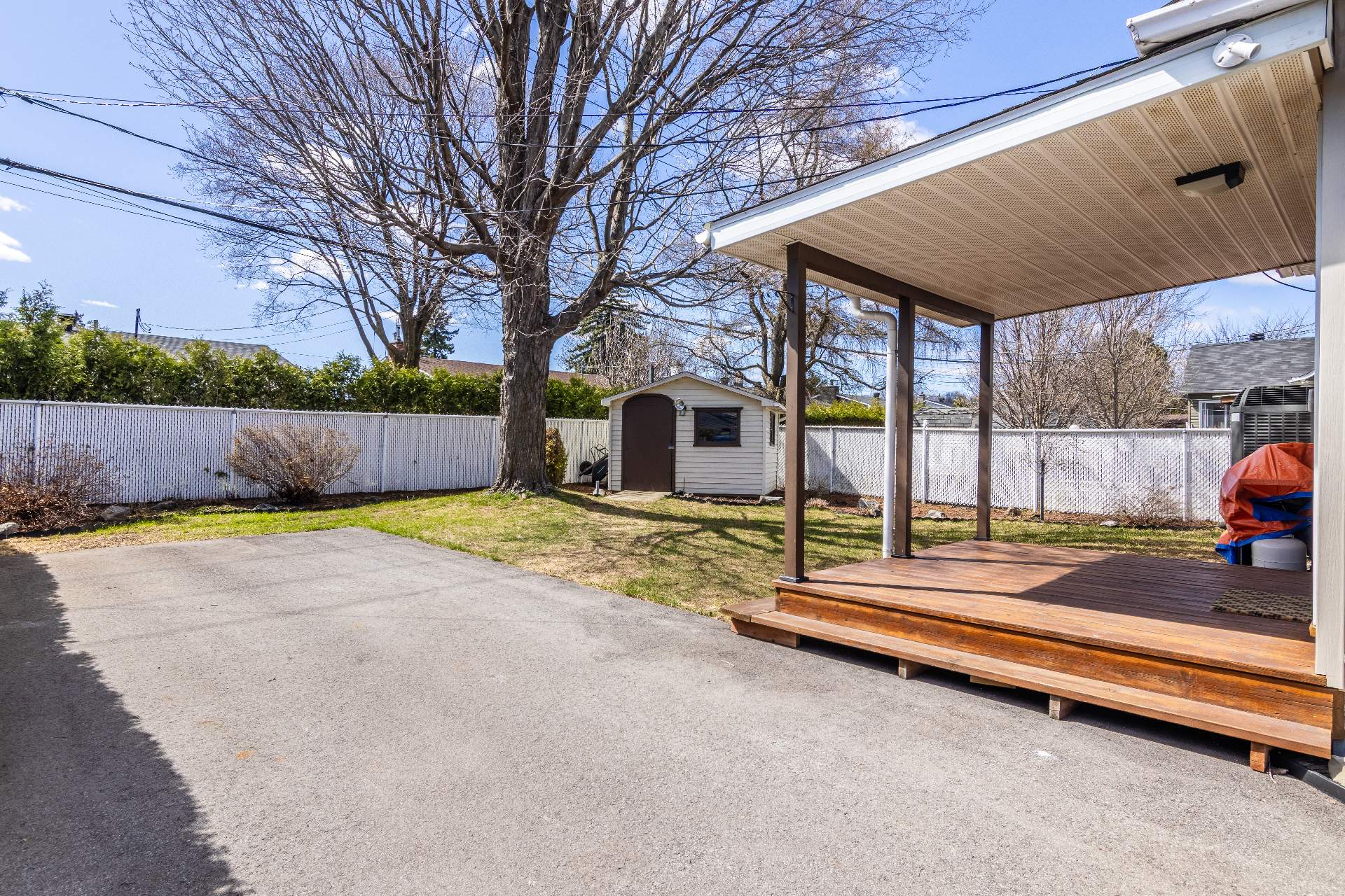 Photo - Backyard