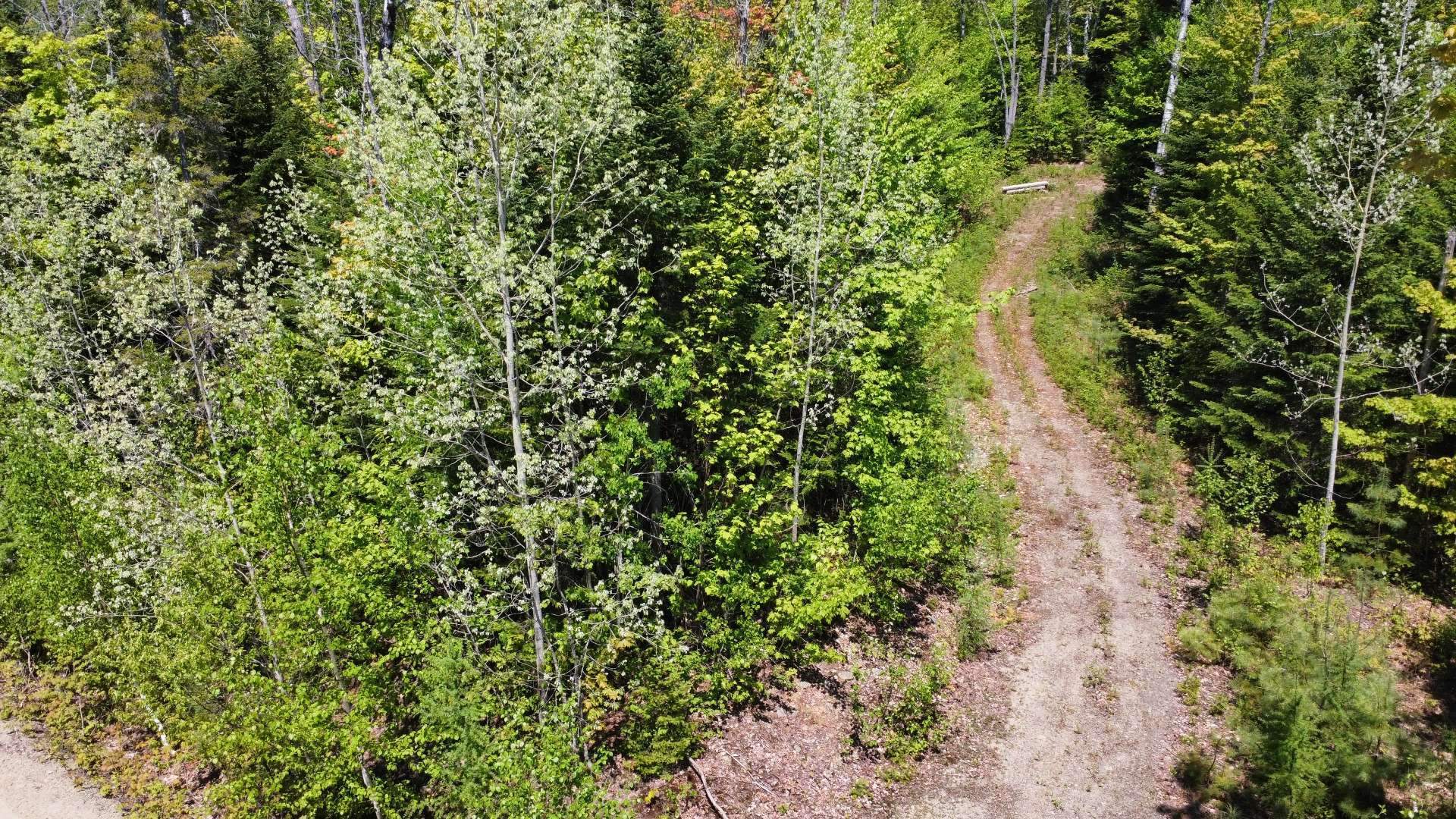 Photo - Photo aérienne