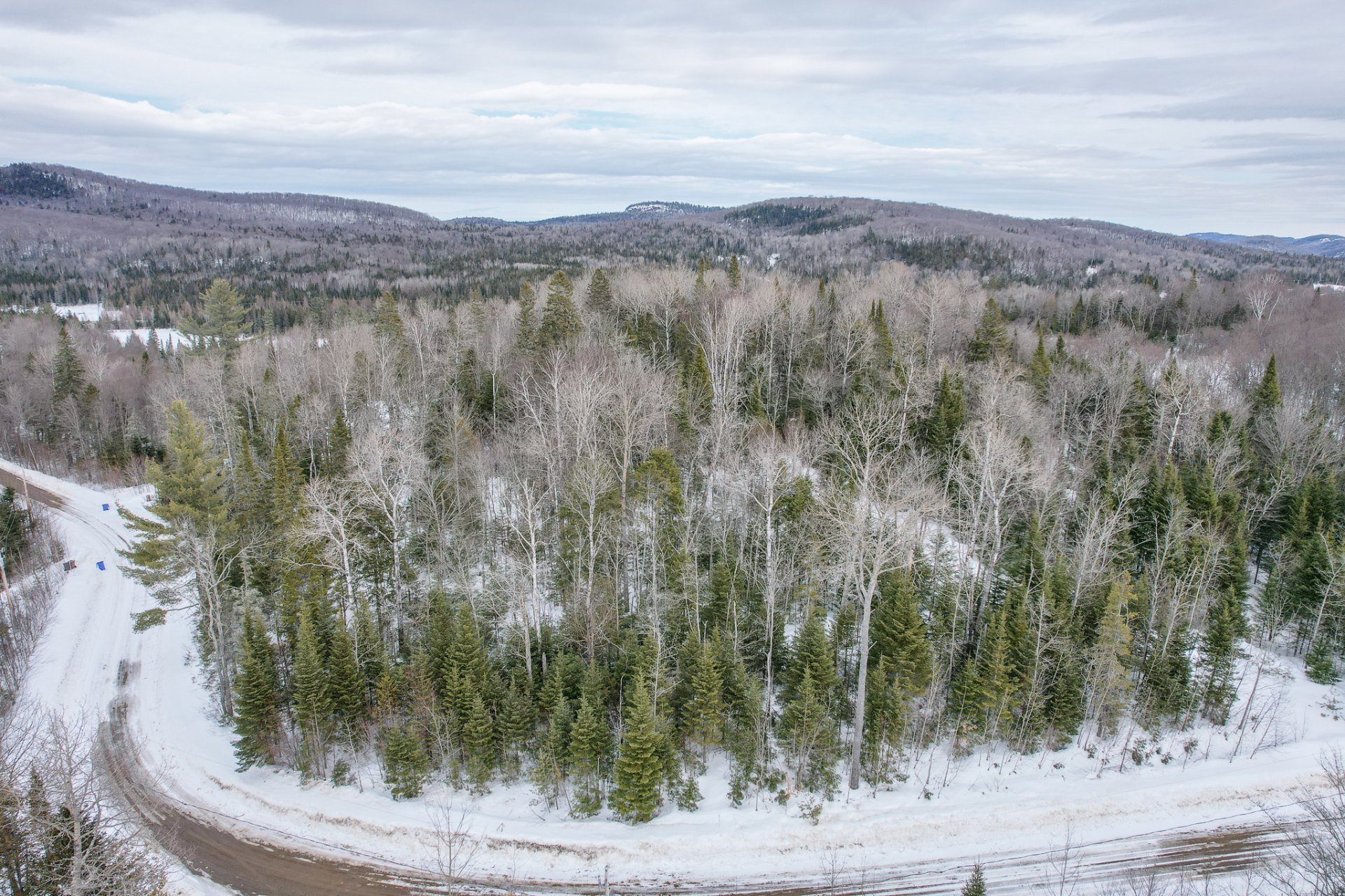 Photo - Terre/Terrain