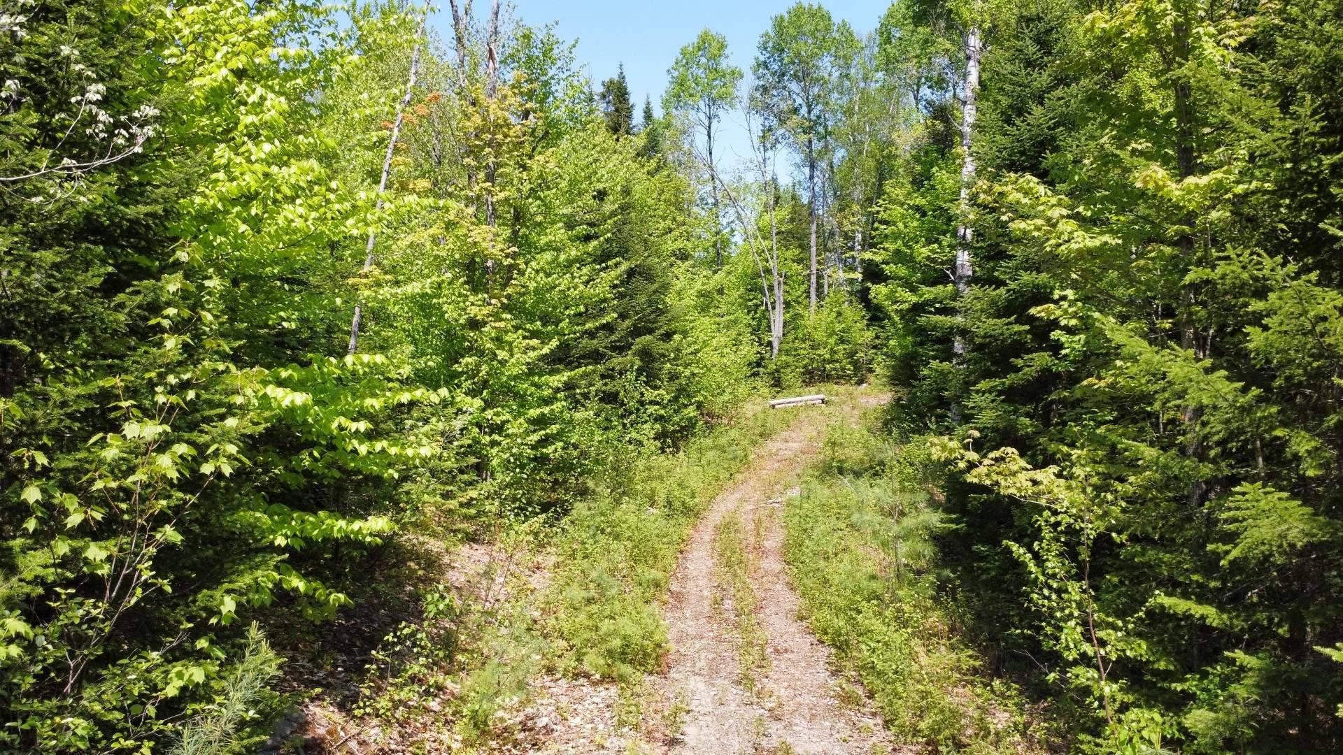 Photo - Photo aérienne