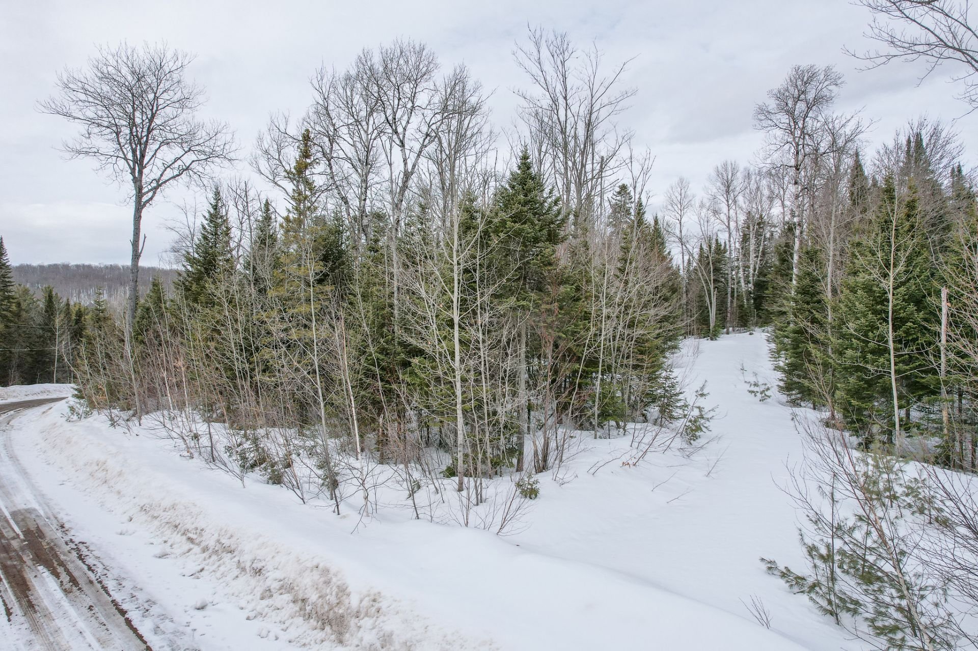 Photo - Terre/Terrain