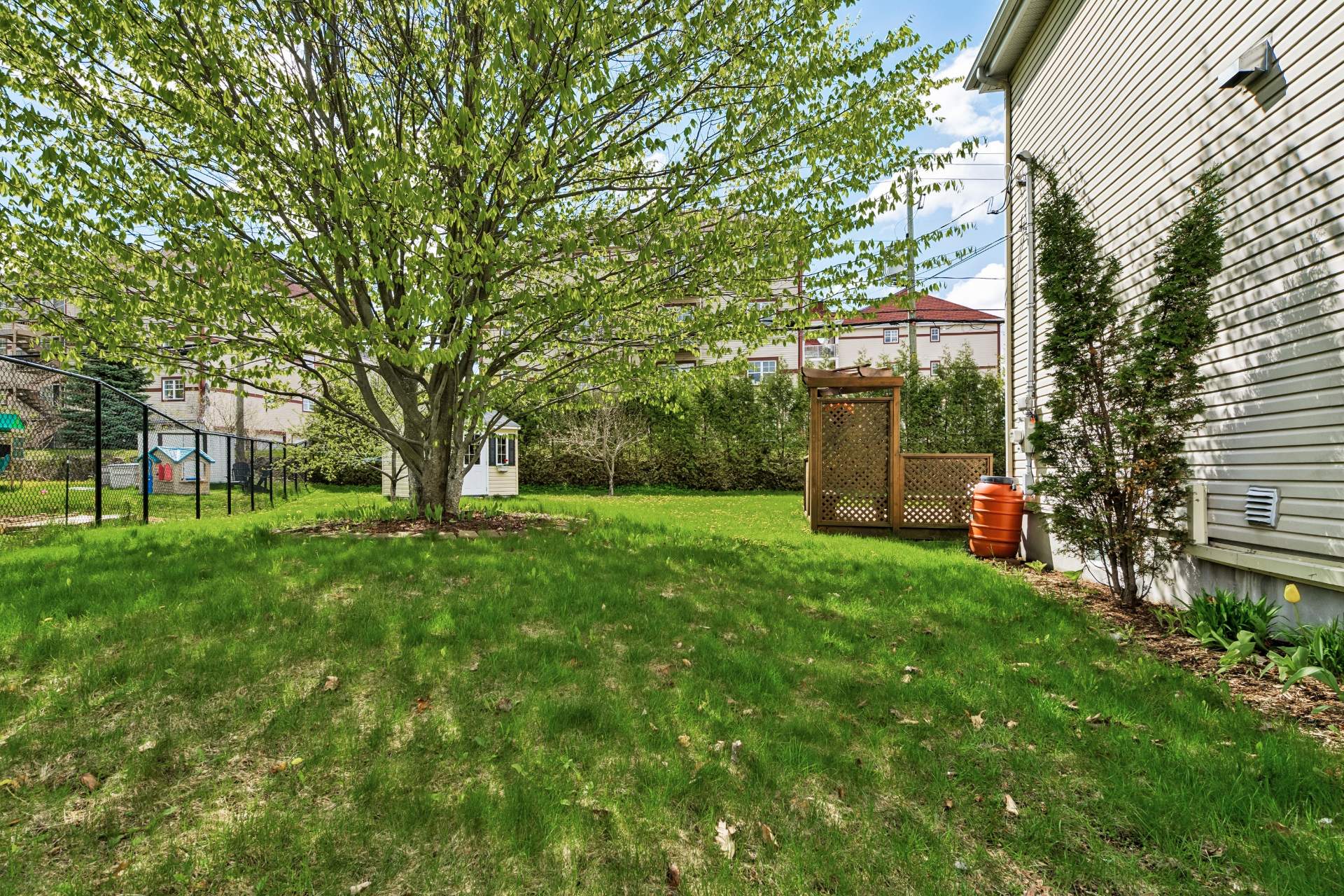 Photo - Backyard