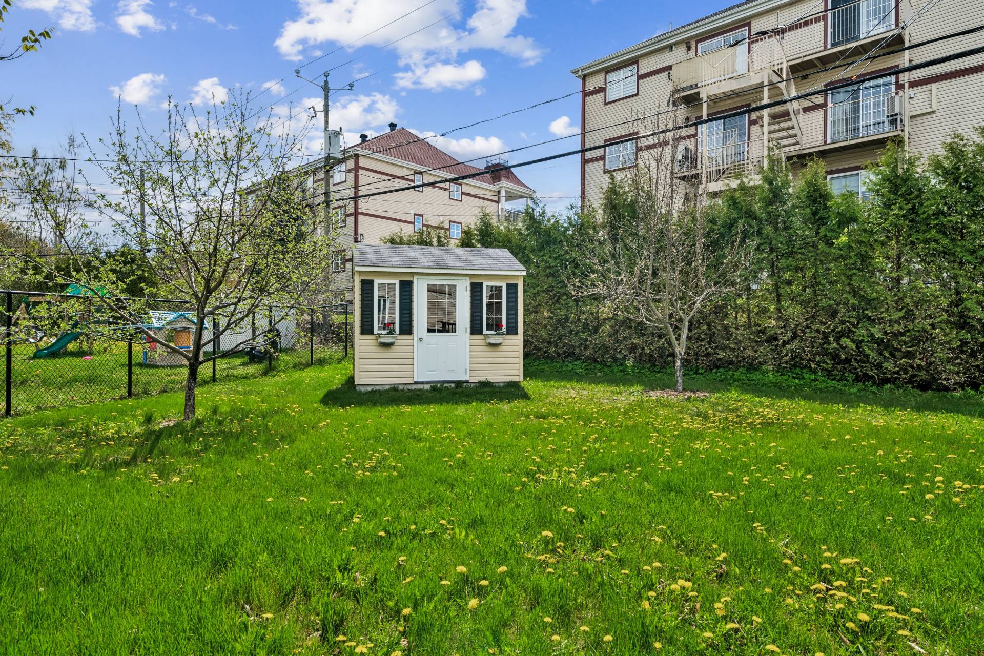 Photo - Backyard