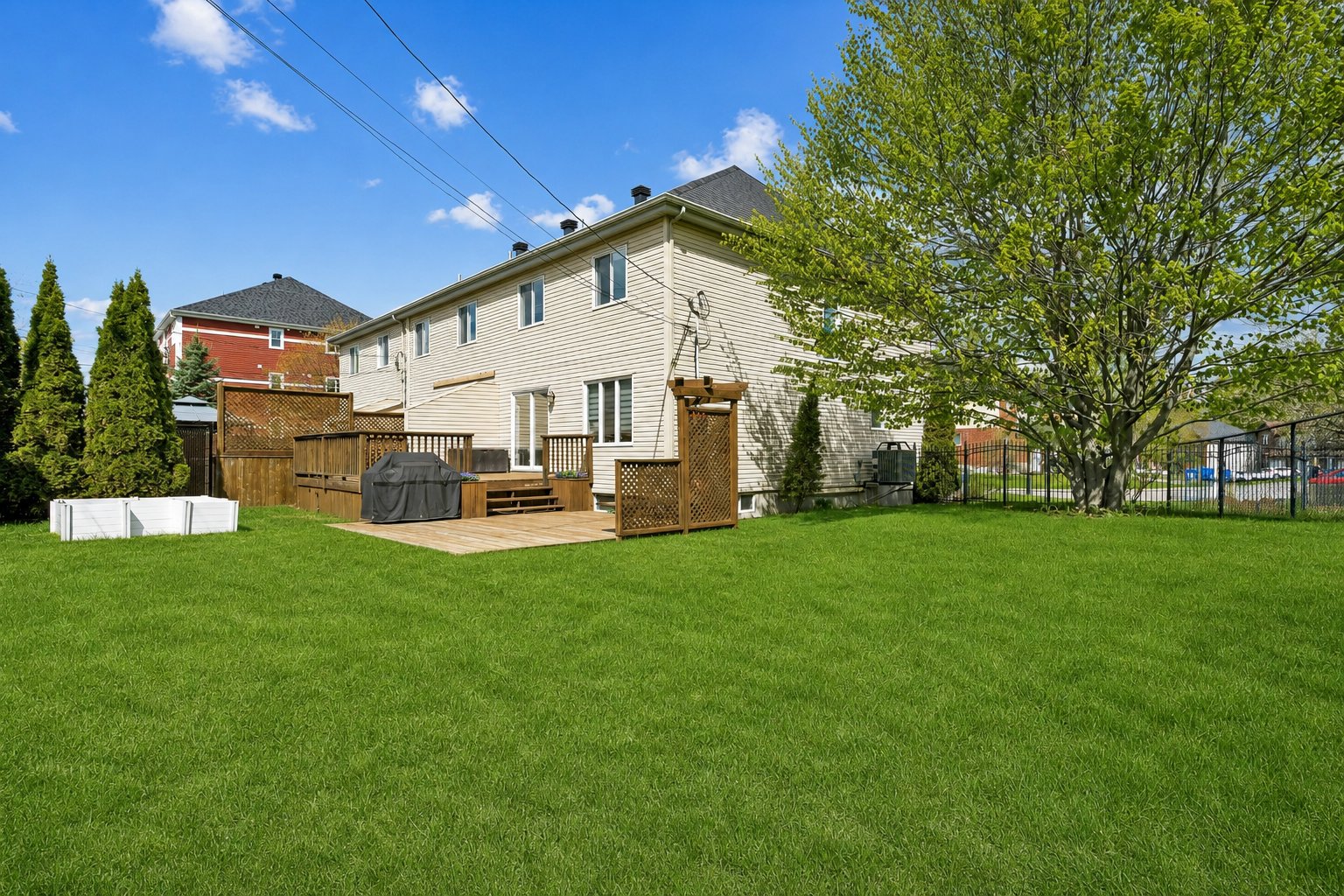 Photo - Backyard