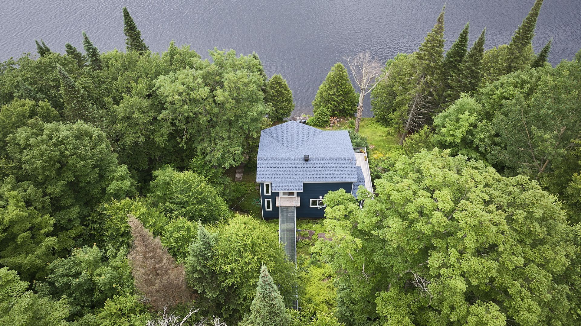 Photo - Aerial photo