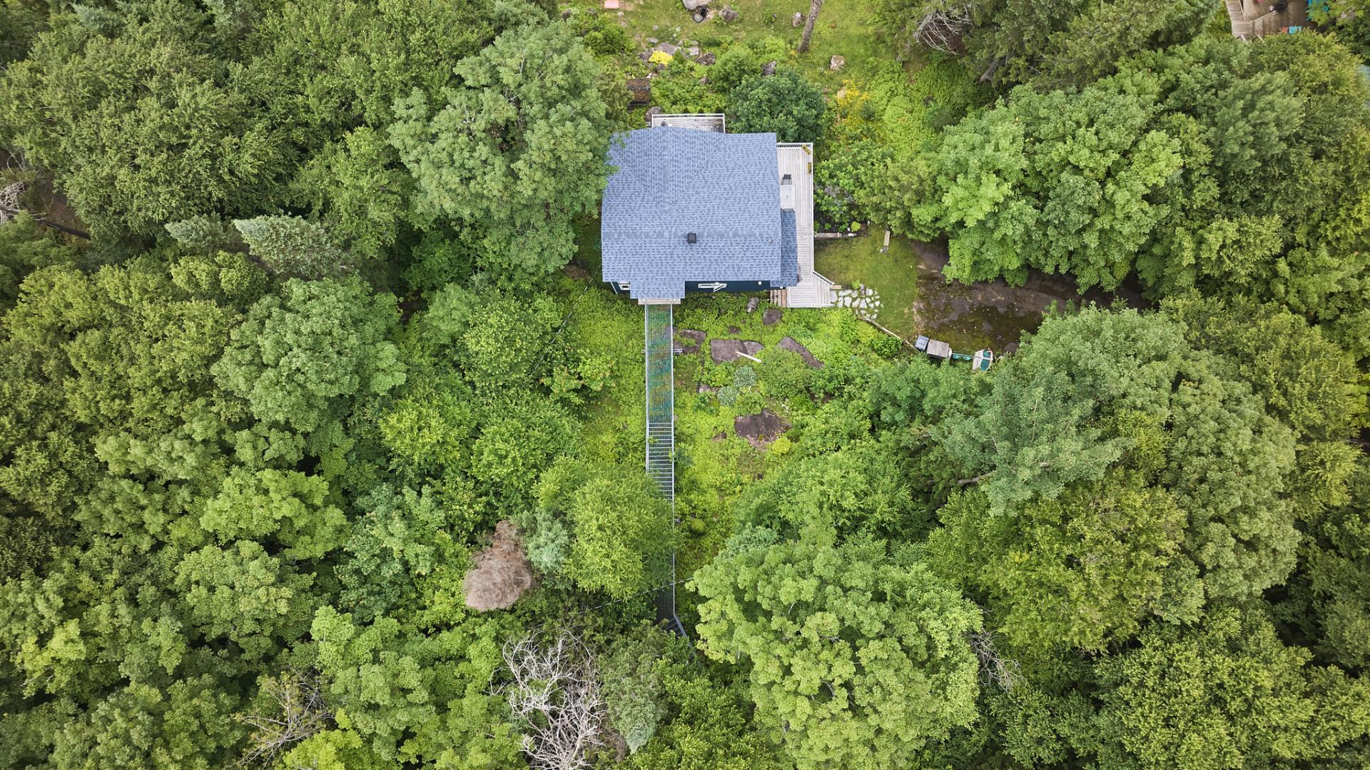 Photo - Aerial photo