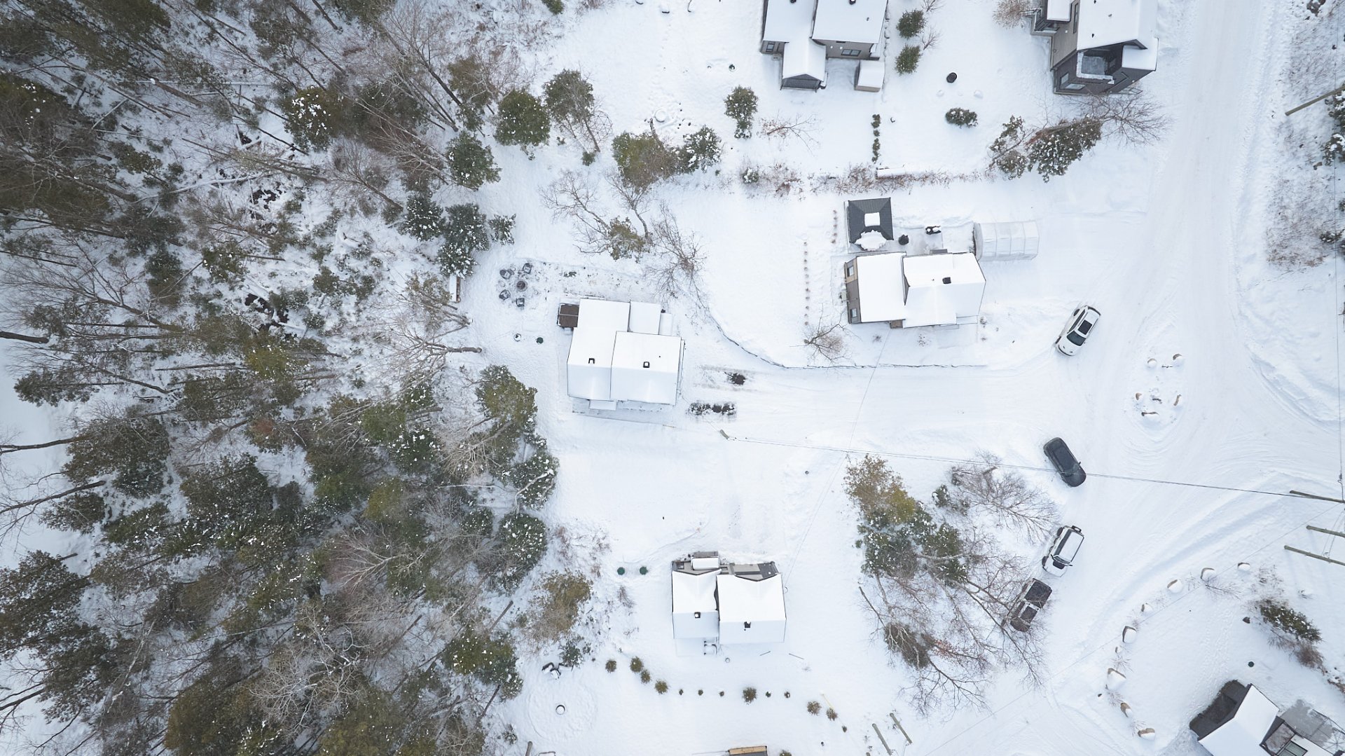 Photo - Aerial photo