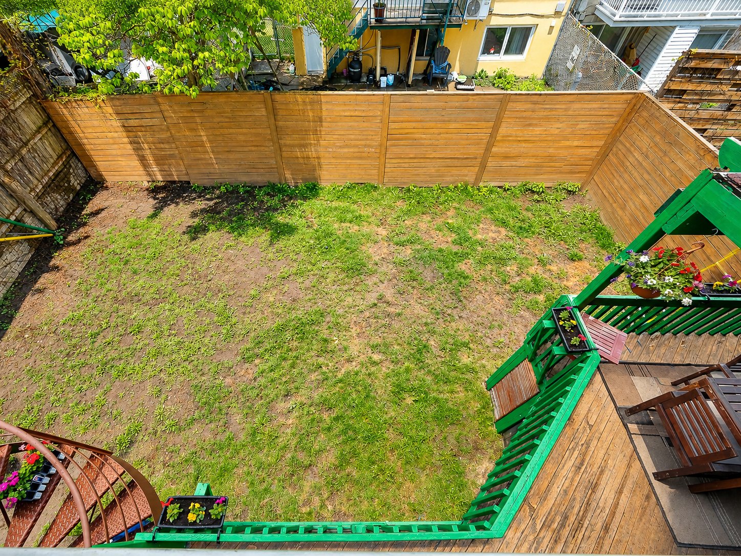Photo - Backyard