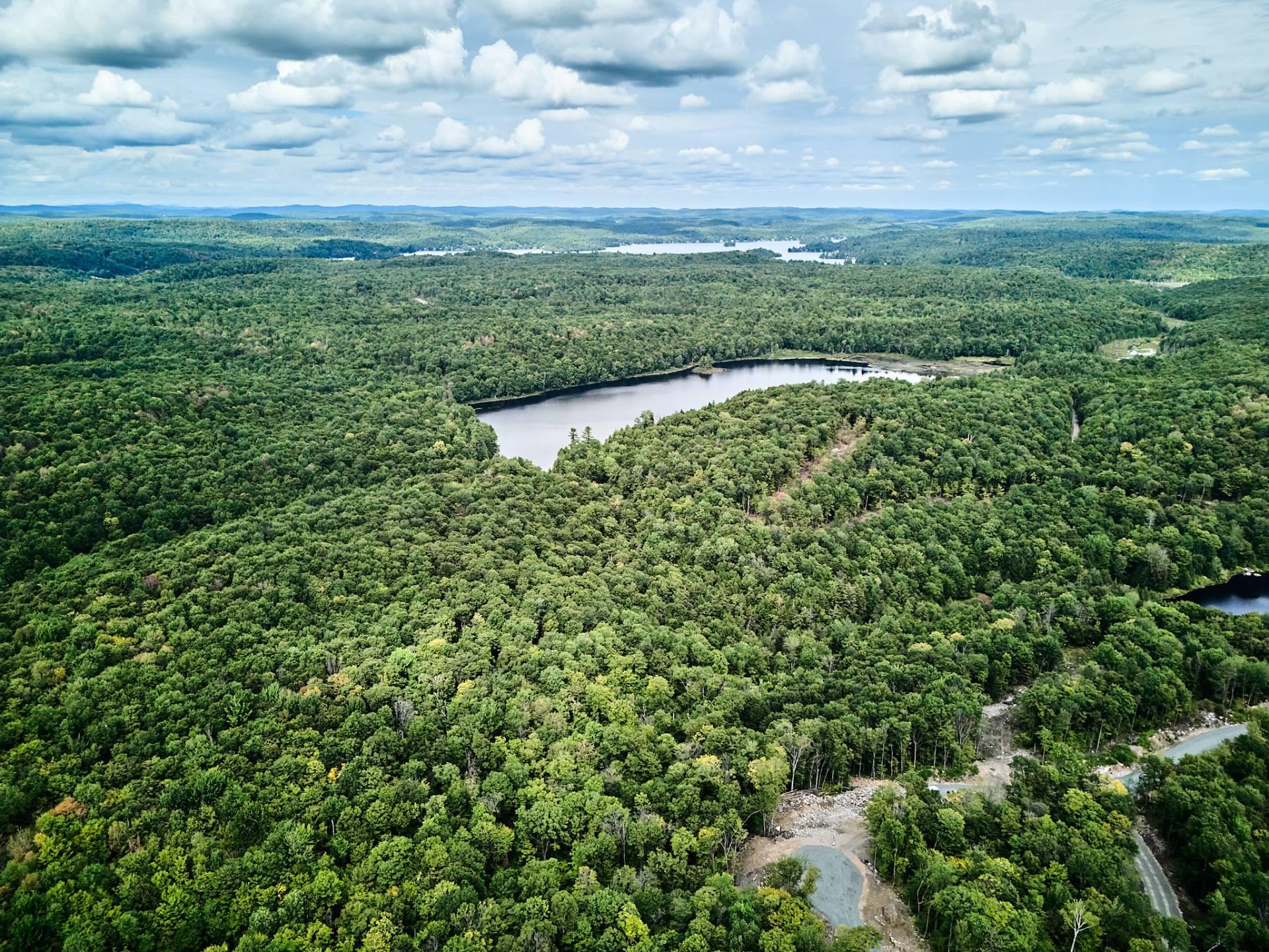 Photo - Photo aérienne