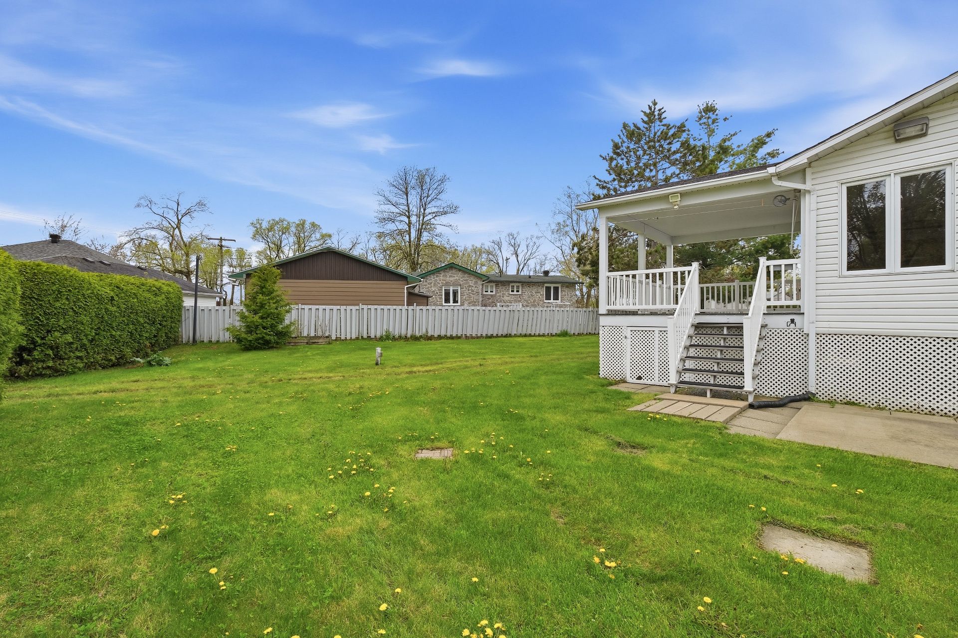 Photo - Backyard