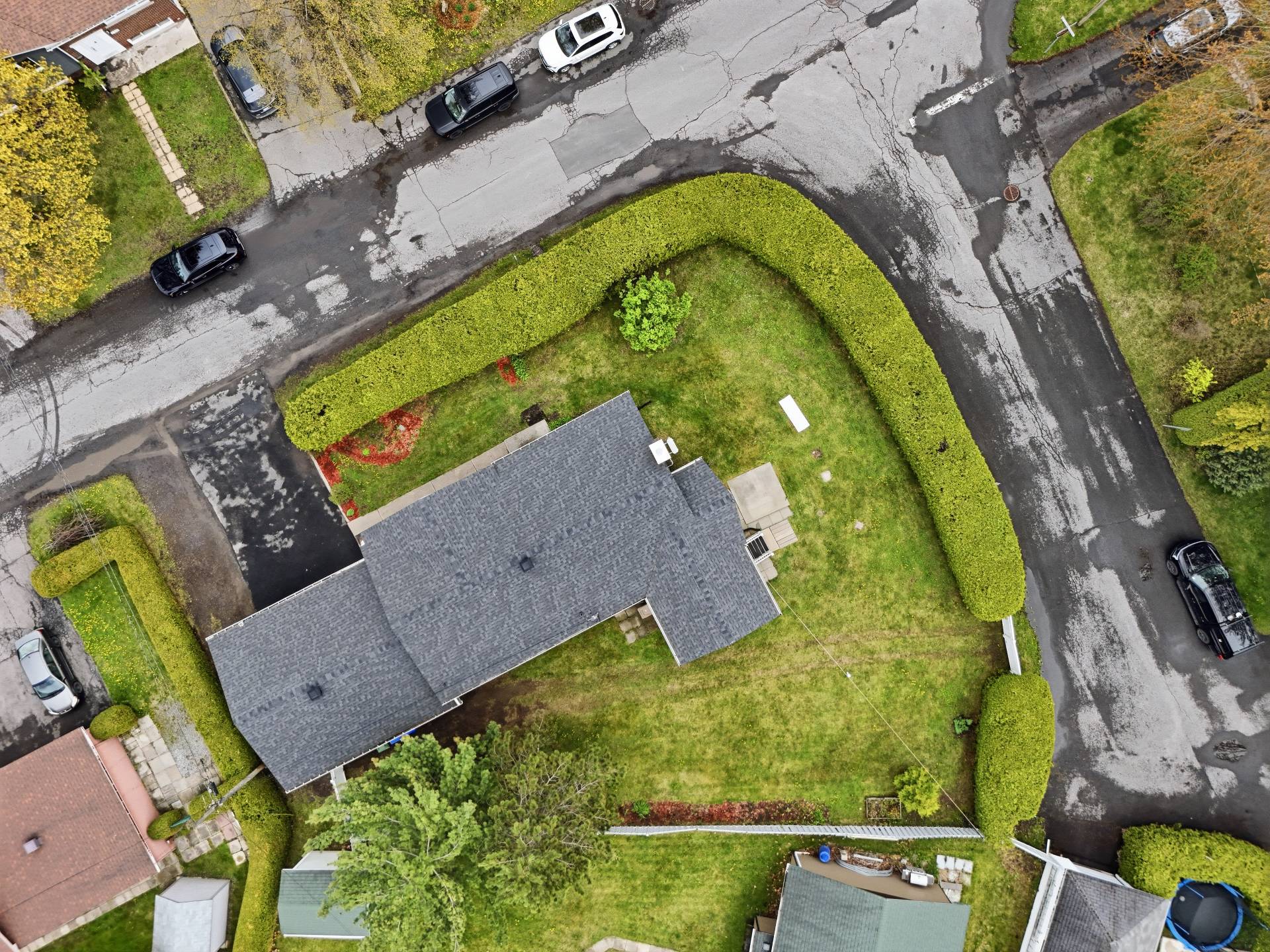 Photo - Aerial photo