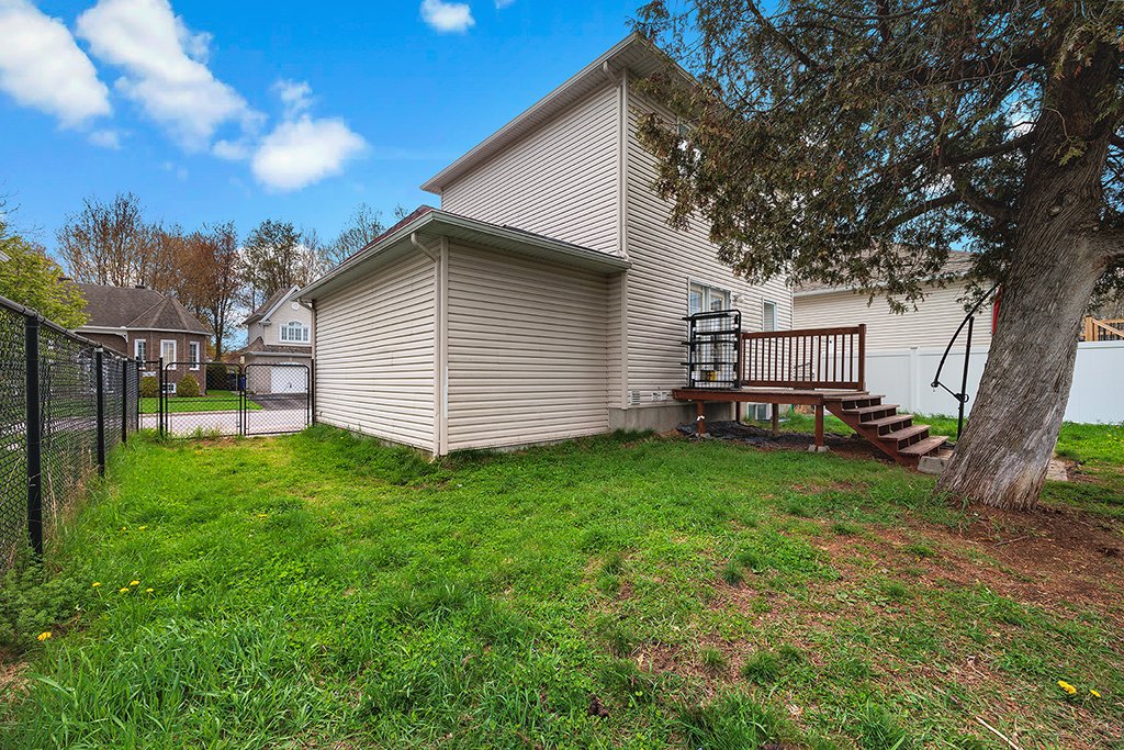 Photo - Backyard