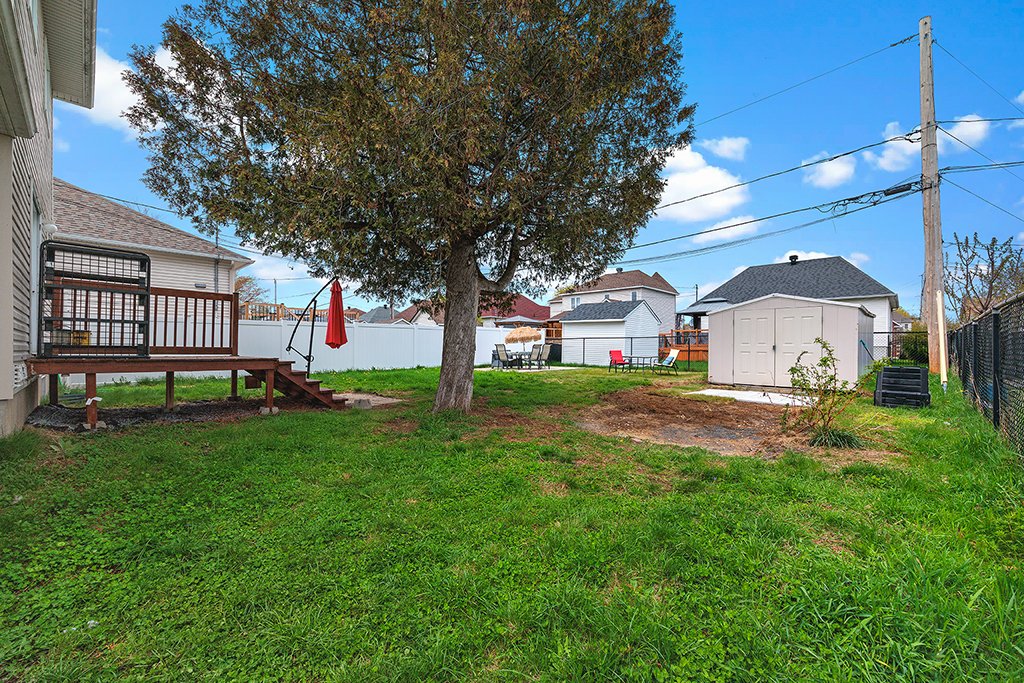 Photo - Backyard
