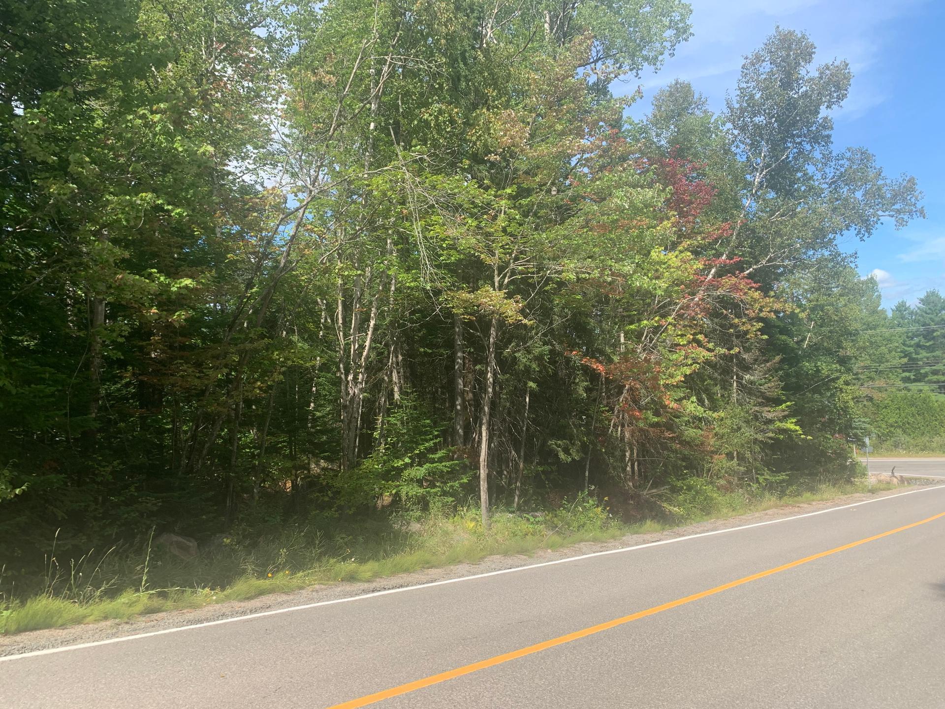 Photo - Terre/Terrain