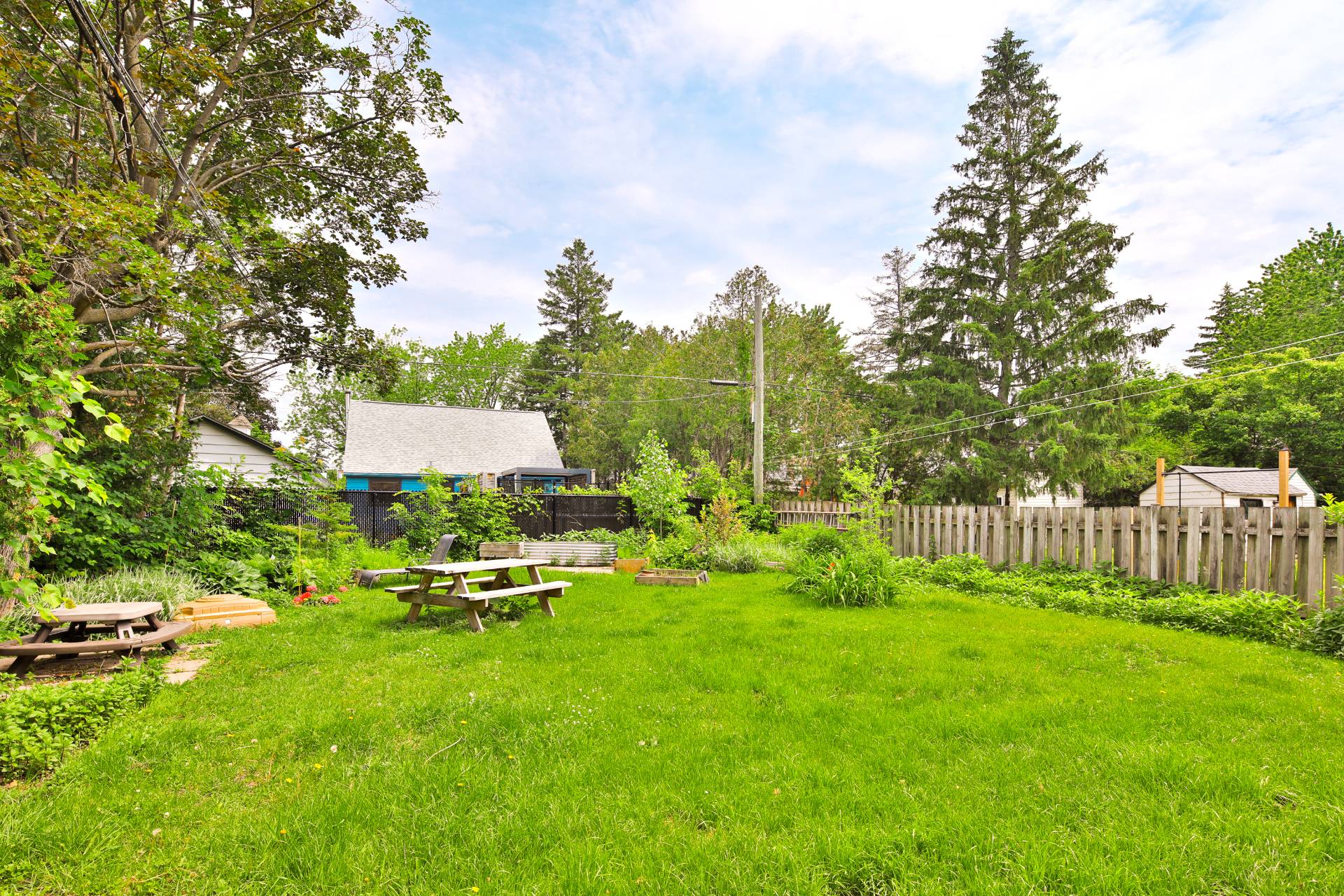 Photo - Backyard