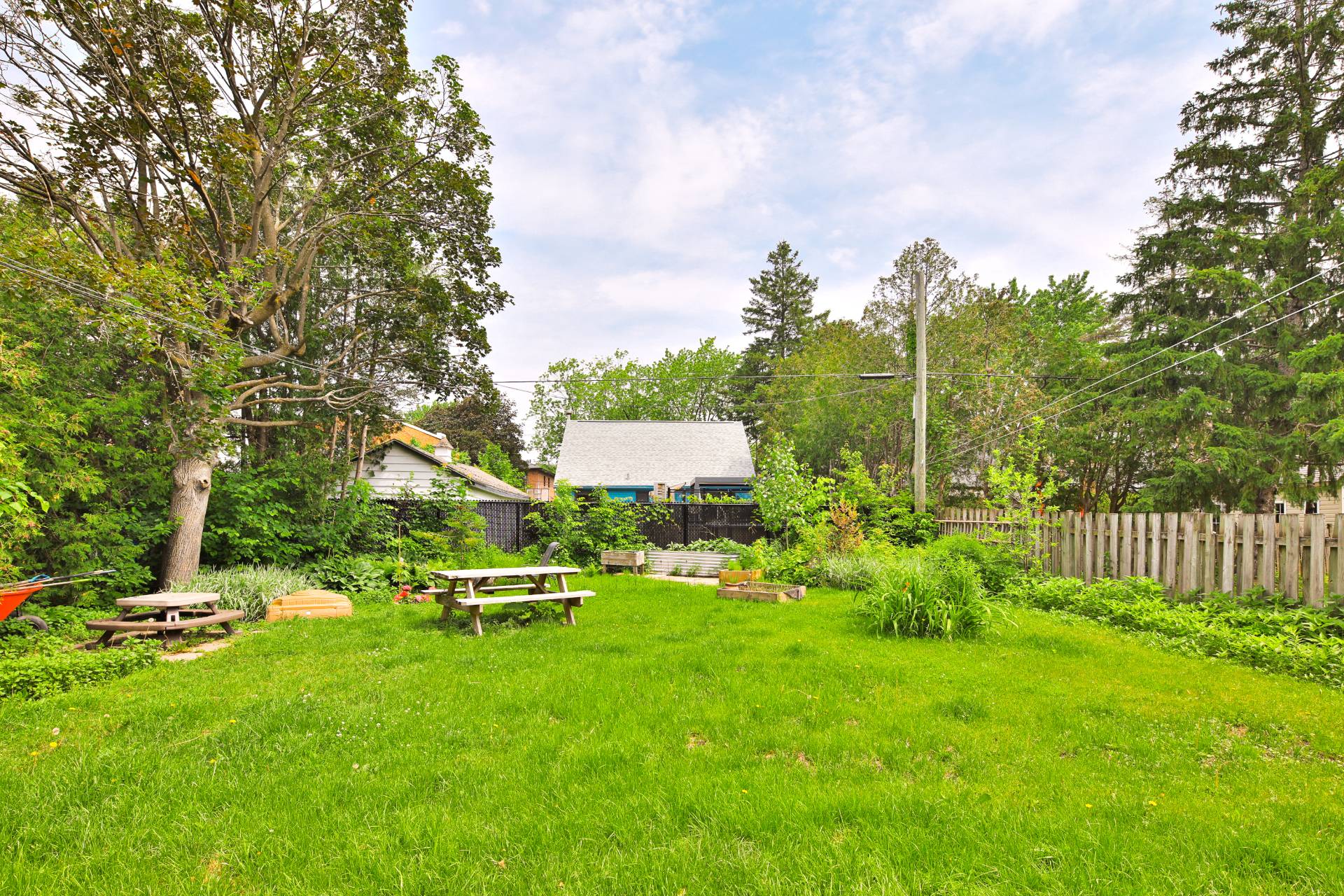 Photo - Backyard