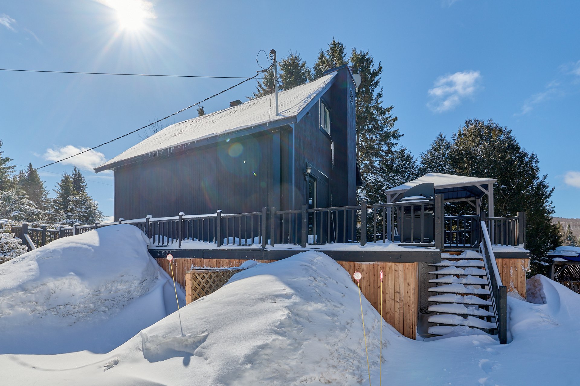 Photo - Face arrière