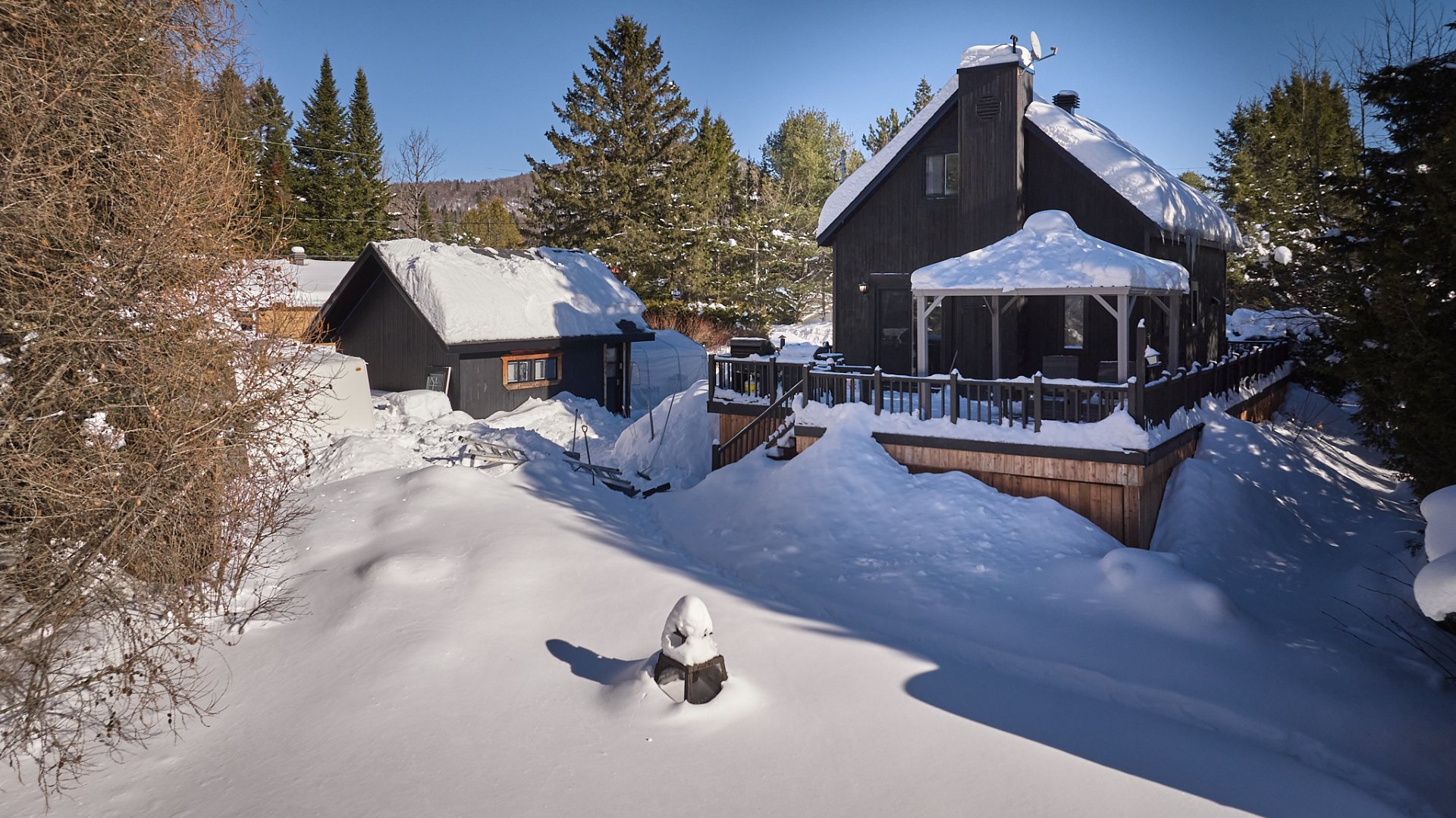 Photo - Face arrière