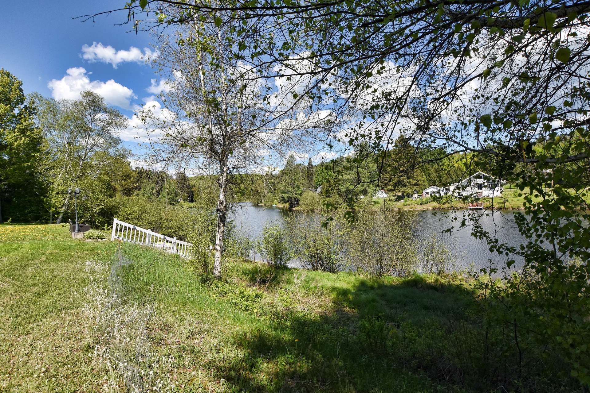 Photo - Bord de l'eau