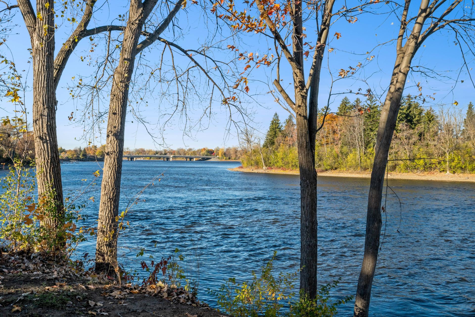 Photo - Vue sur l'eau