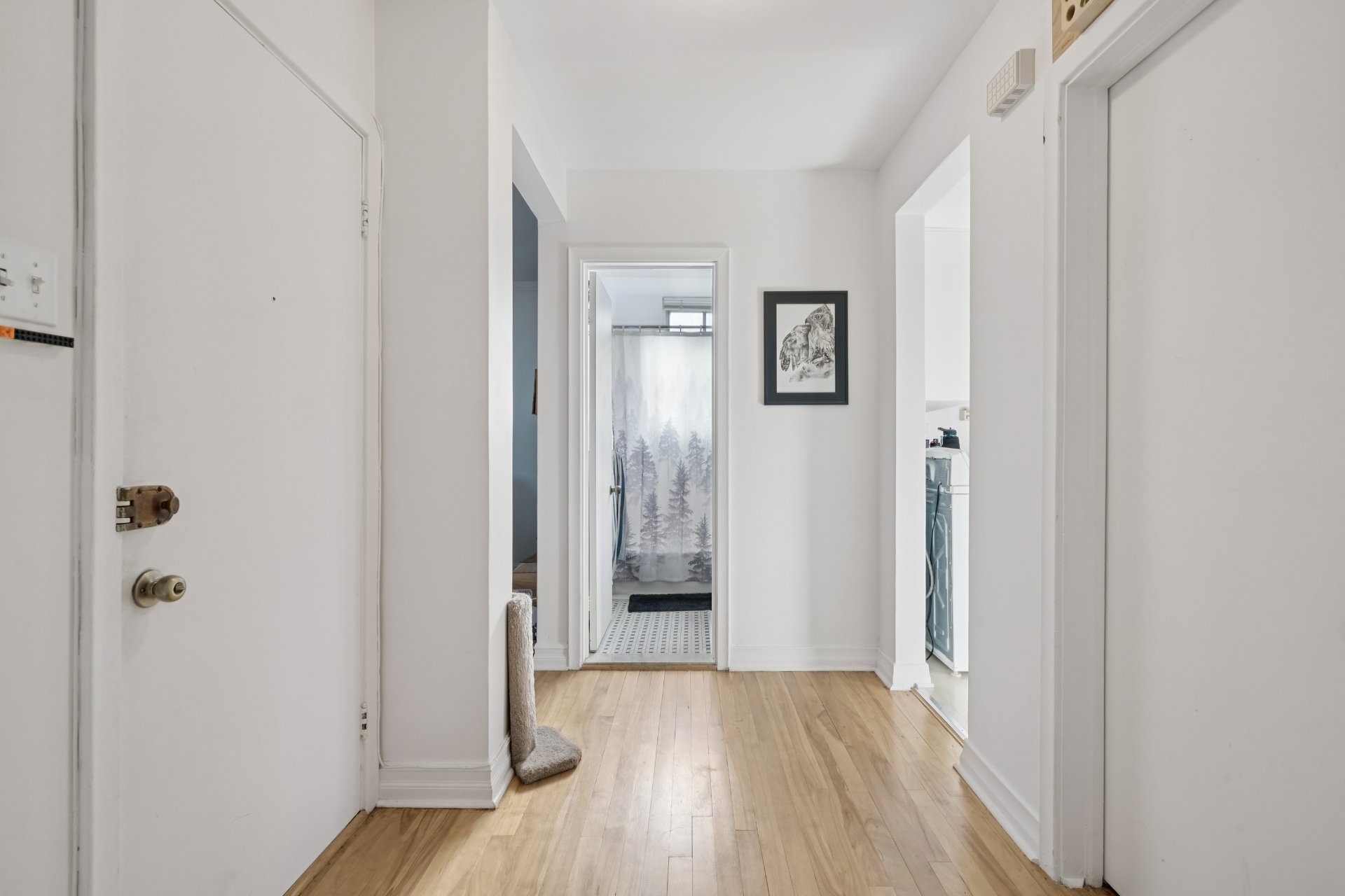 Photo - Hall d'entrée