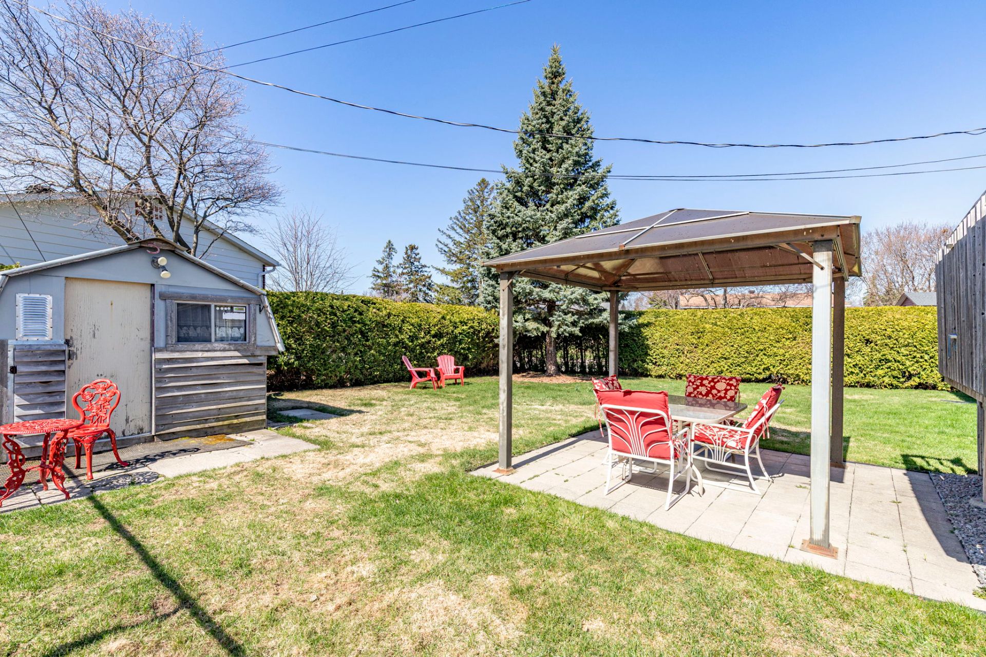 Photo - Backyard