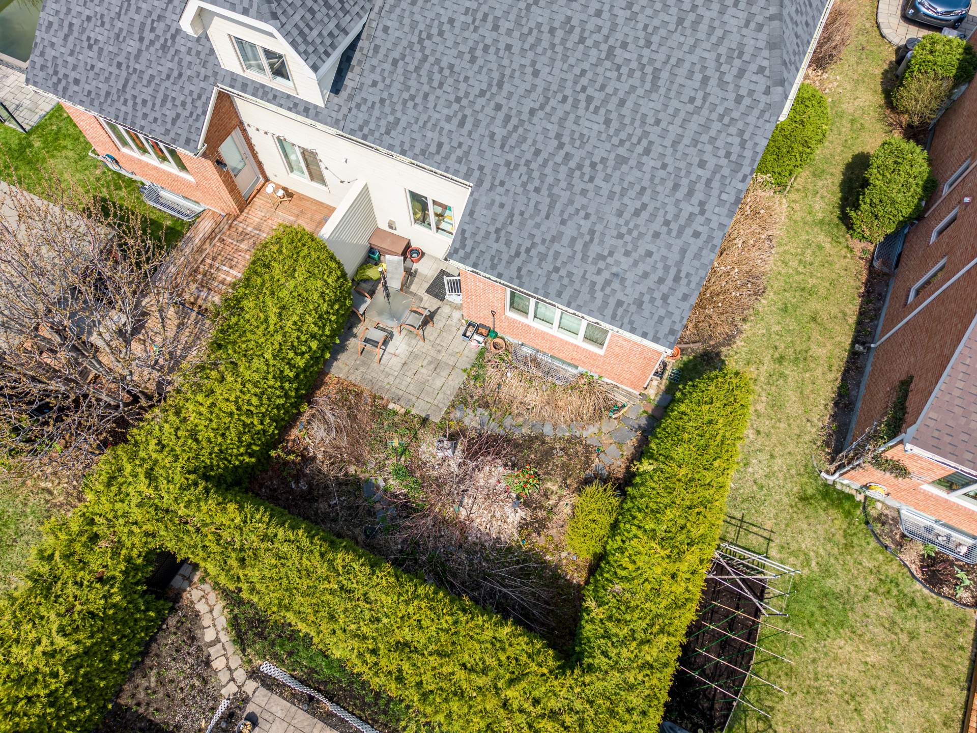Photo - Backyard