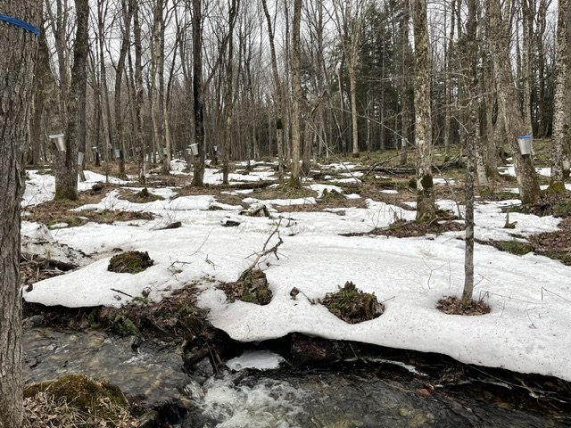 Photo - Other