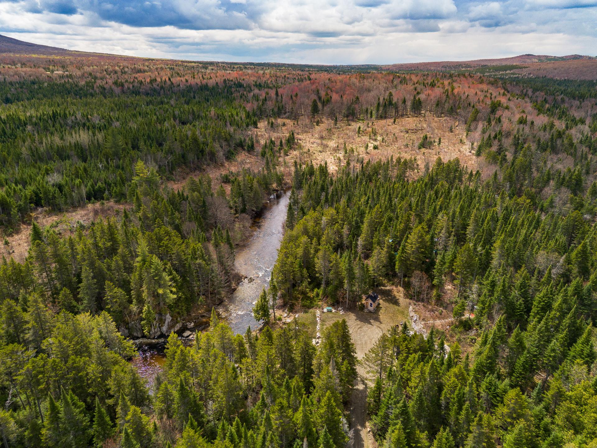 Photo - Aerial photo