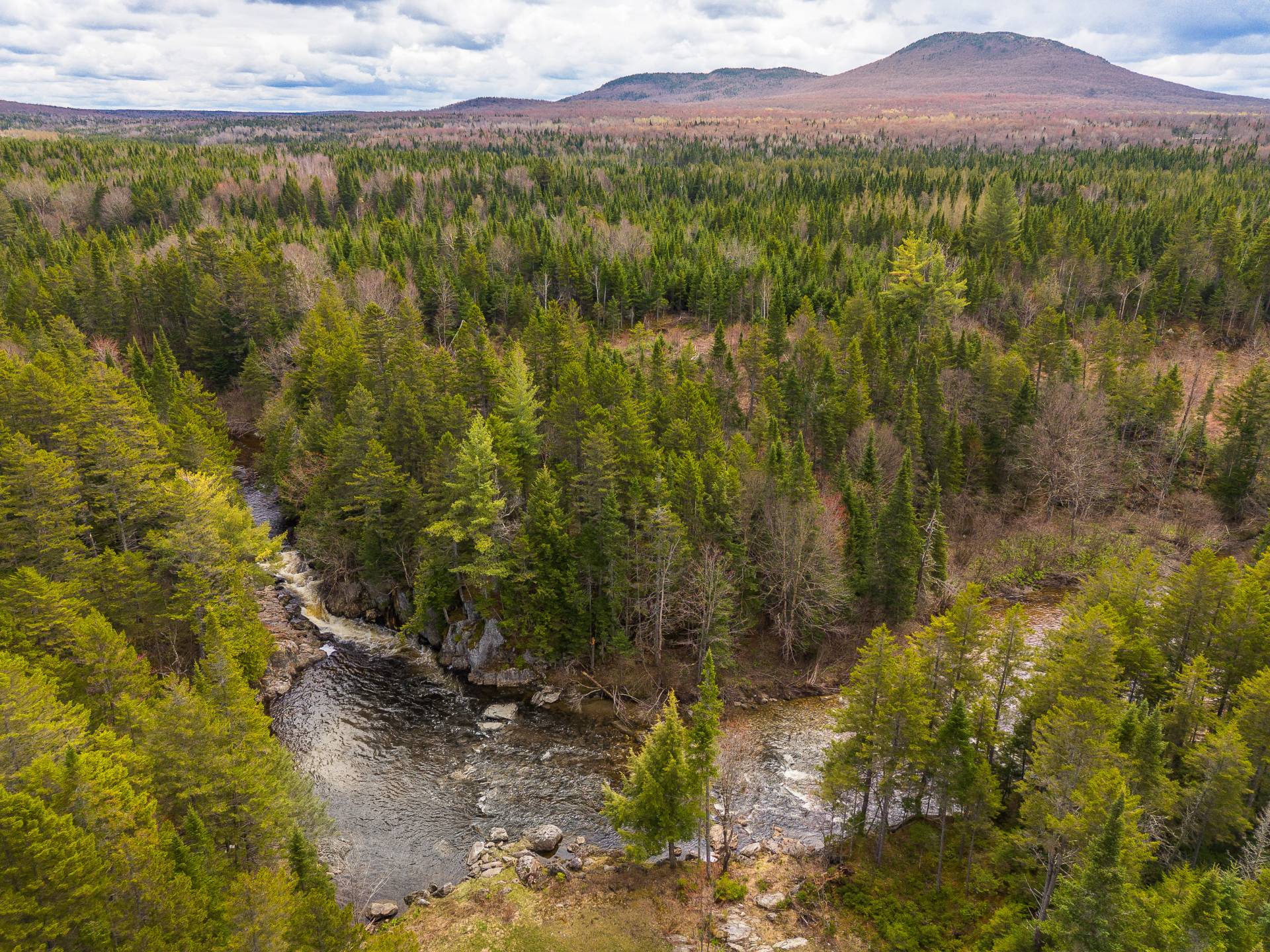 Photo - Aerial photo